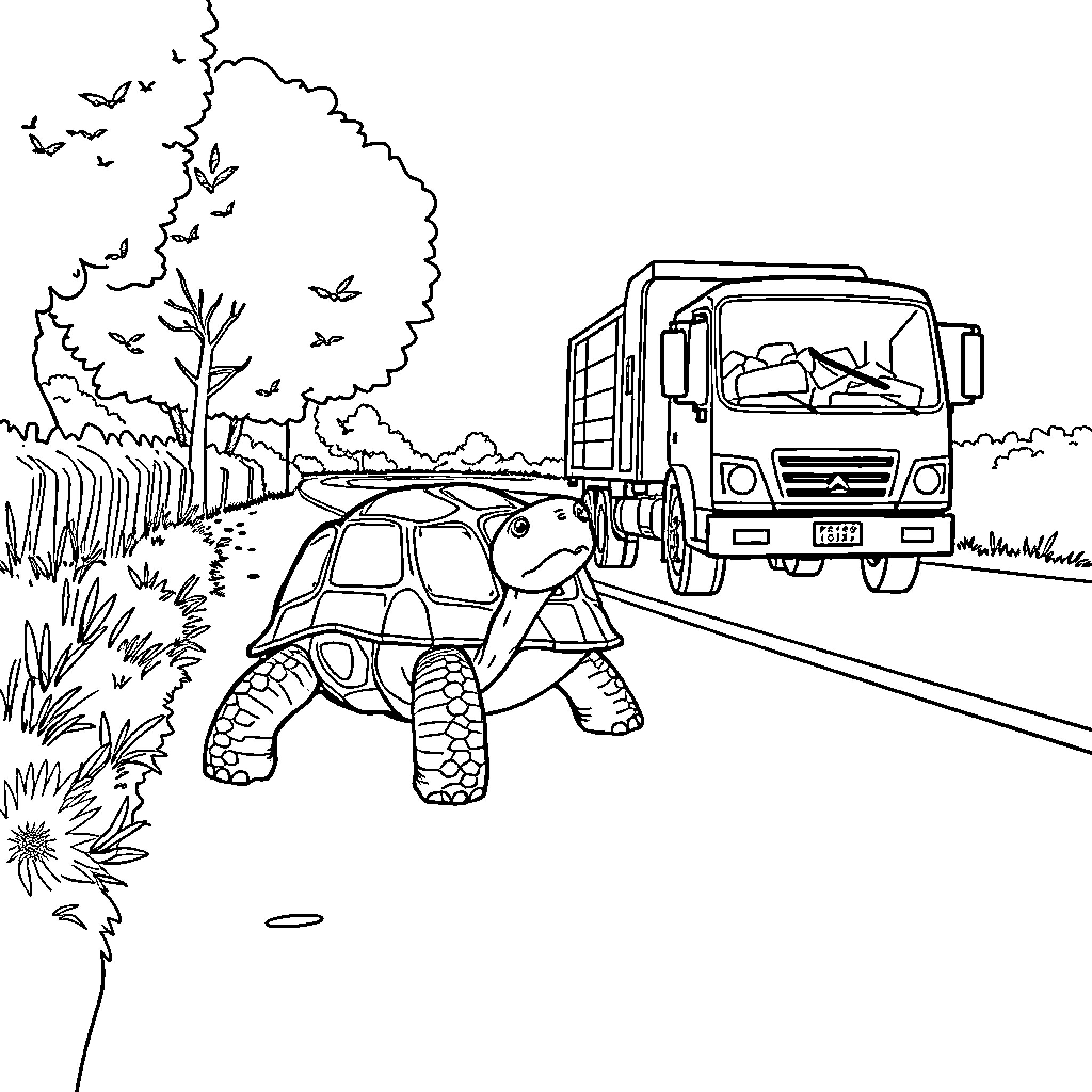 Turtle crossing the road with truck Coloring Page (free black-and-white line drawing printable PDF for all, from beginners to advanced learners, including children, teens, adults, and seniors)