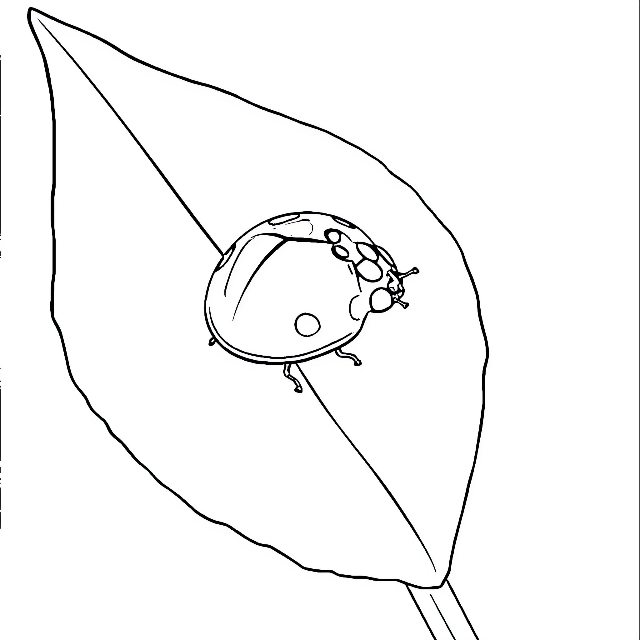 Ladybug climbing on a leaf Coloring Page (free black-and-white line drawing printable PDF for all, from beginners to advanced learners, including children, teens, adults, and seniors)