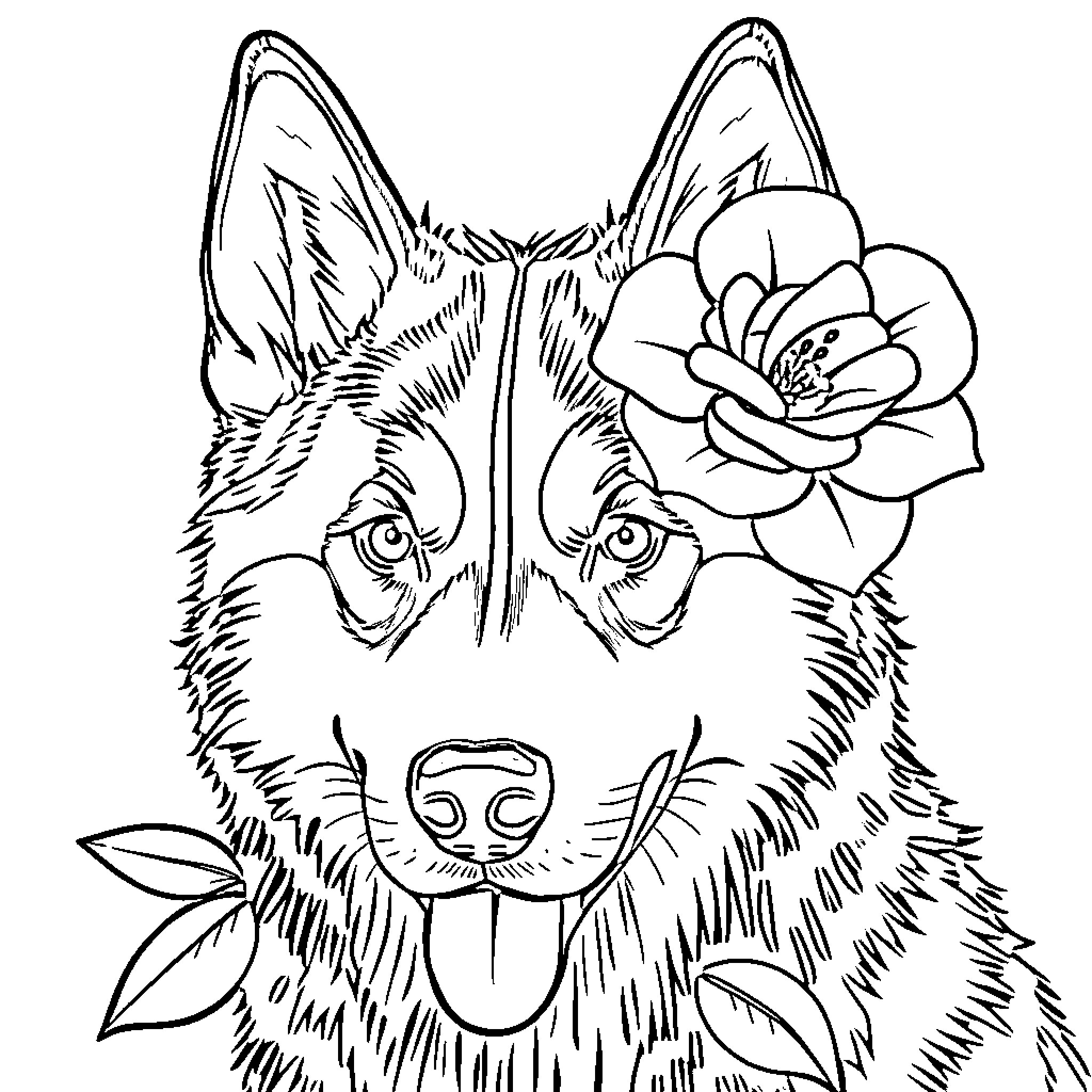 Husky with a flower in a whimsical scene Coloring Page (free black-and-white line drawing printable PDF for all, from beginners to advanced learners, including children, teens, adults, and seniors)