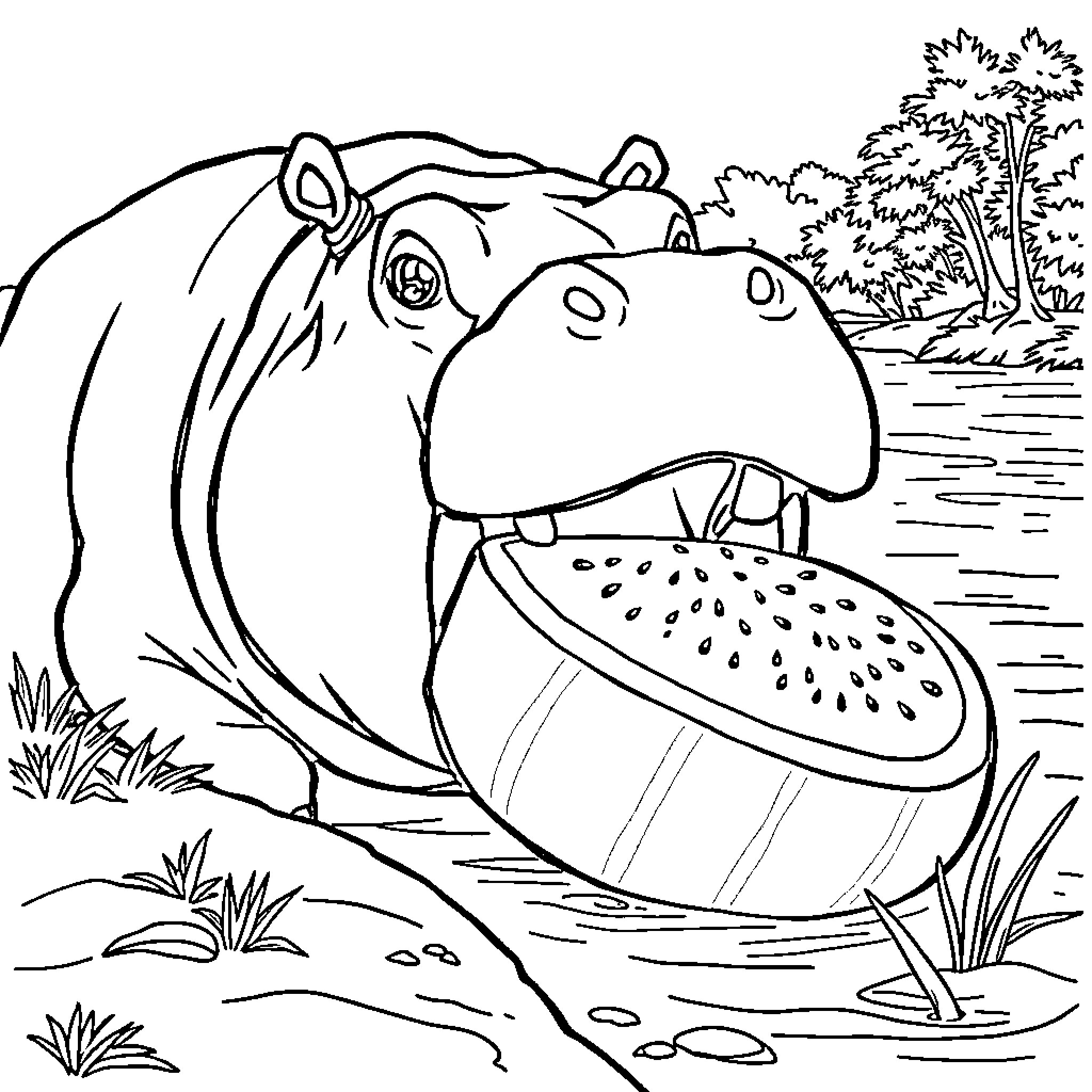Hippo enjoying a tasty watermelon snack in the wild Coloring Page (free black-and-white line drawing printable PDF for all, from beginners to advanced learners, including children, teens, adults, and seniors)