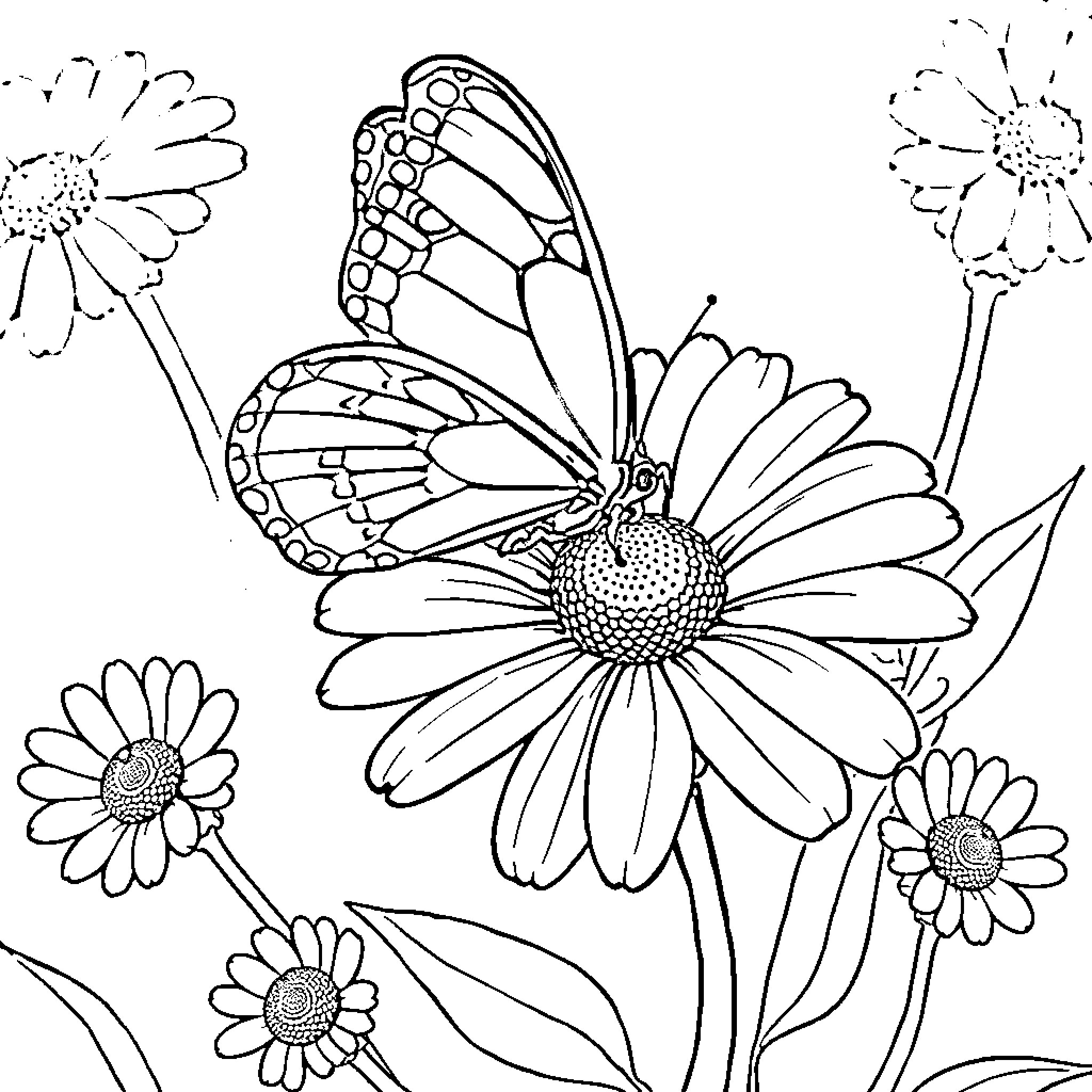Butterfly flying among daisies Coloring Page (free black-and-white line drawing printable PDF for all, from beginners to advanced learners, including children, teens, adults, and seniors)