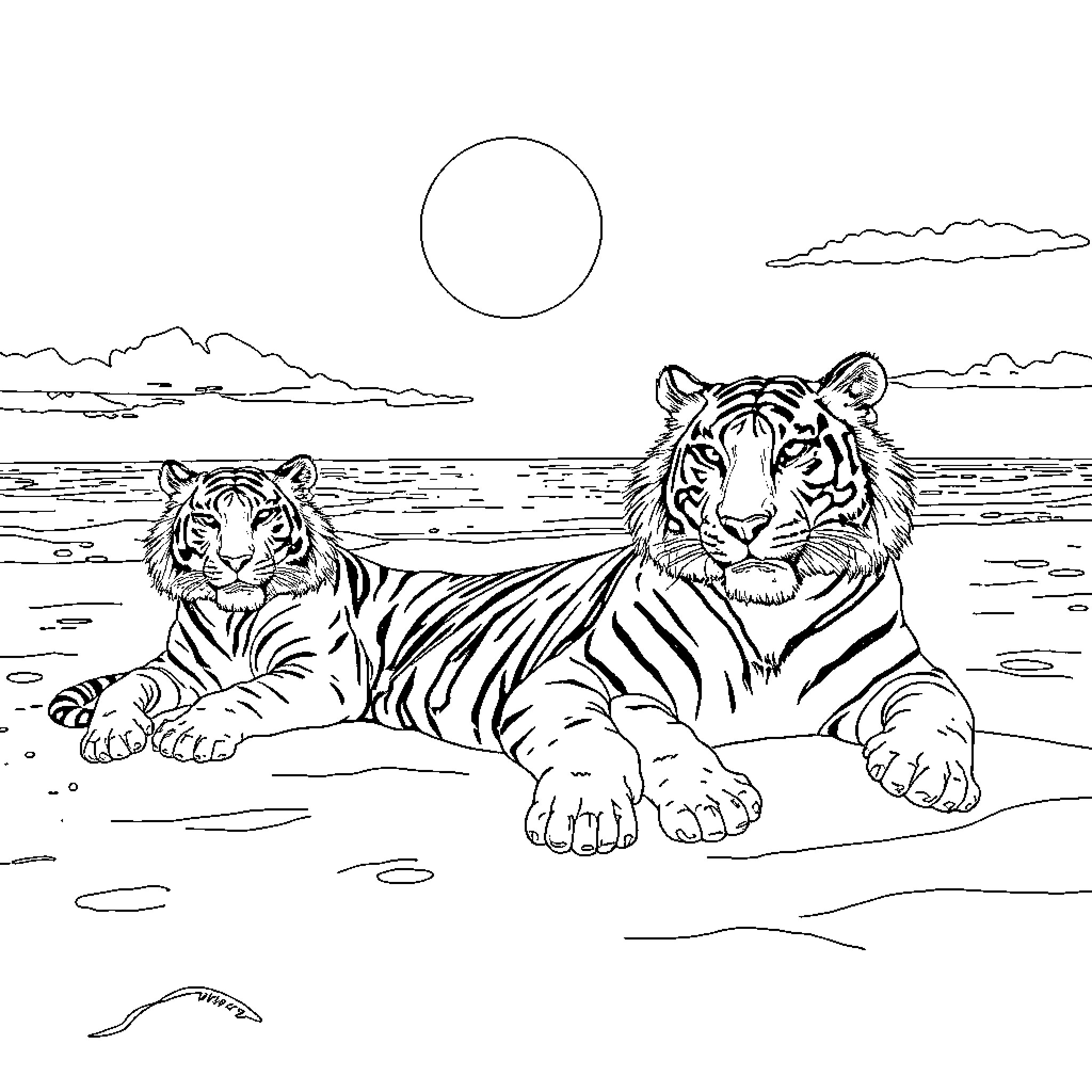 Bengal Tigers resting on the beach Coloring Page (free black-and-white line drawing printable PDF for all, from beginners to advanced learners, including children, teens, adults, and seniors)