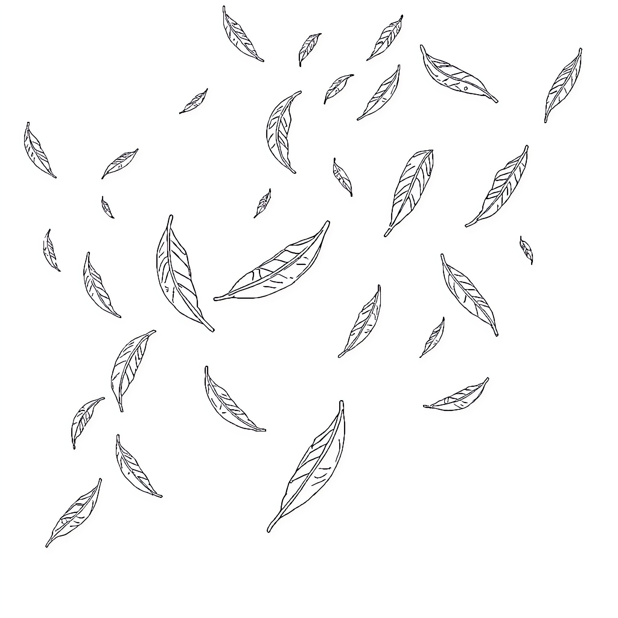 Bible Verse Floating Feathers Coloring Page (free black-and-white line drawing printable PDF for all, from beginners to advanced learners, including children, teens, adults, and seniors)