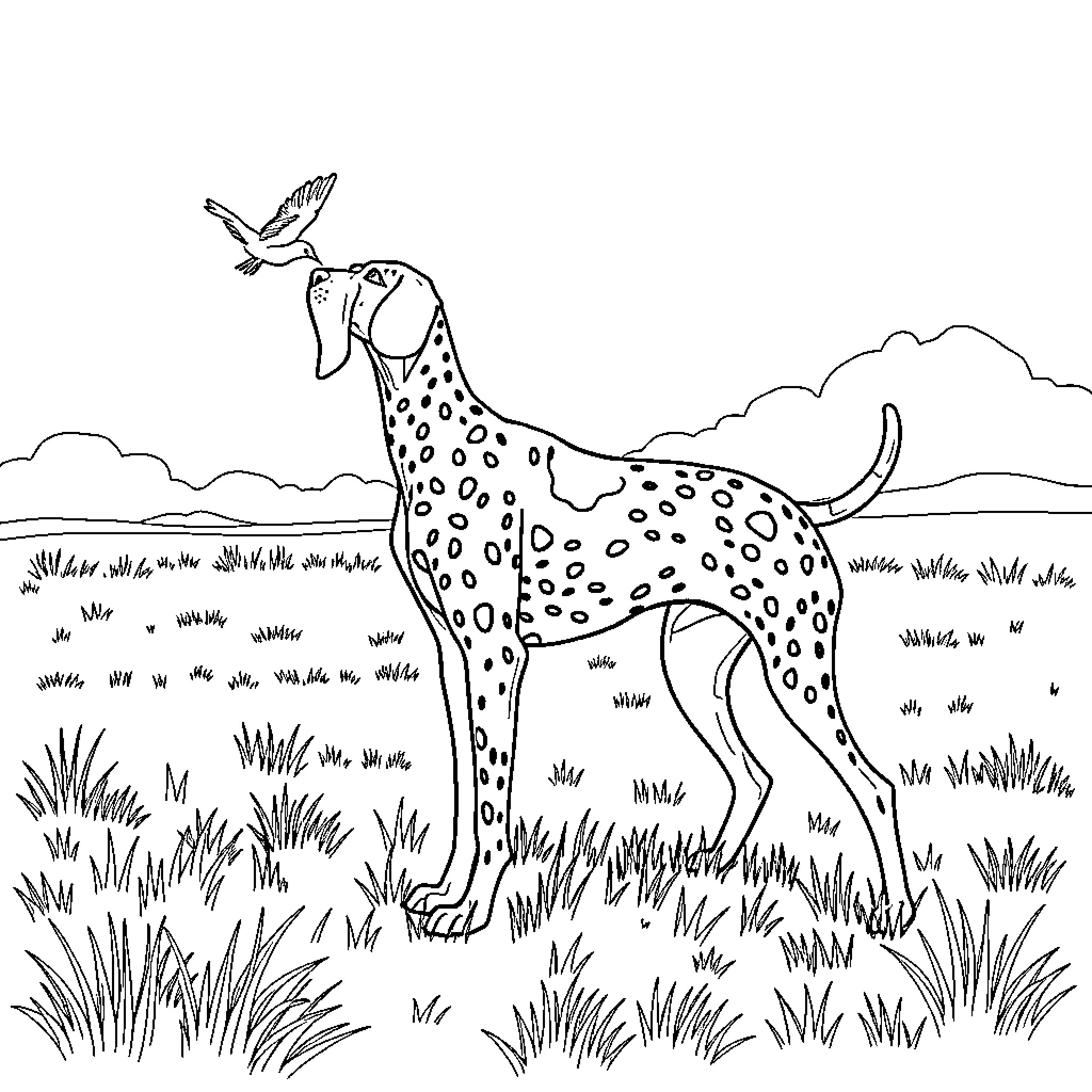 German Shorthaired Pointer enjoying the outdoors Coloring Page (free black-and-white line drawing printable PDF for all, from beginners to advanced learners, including children, teens, adults, and seniors)