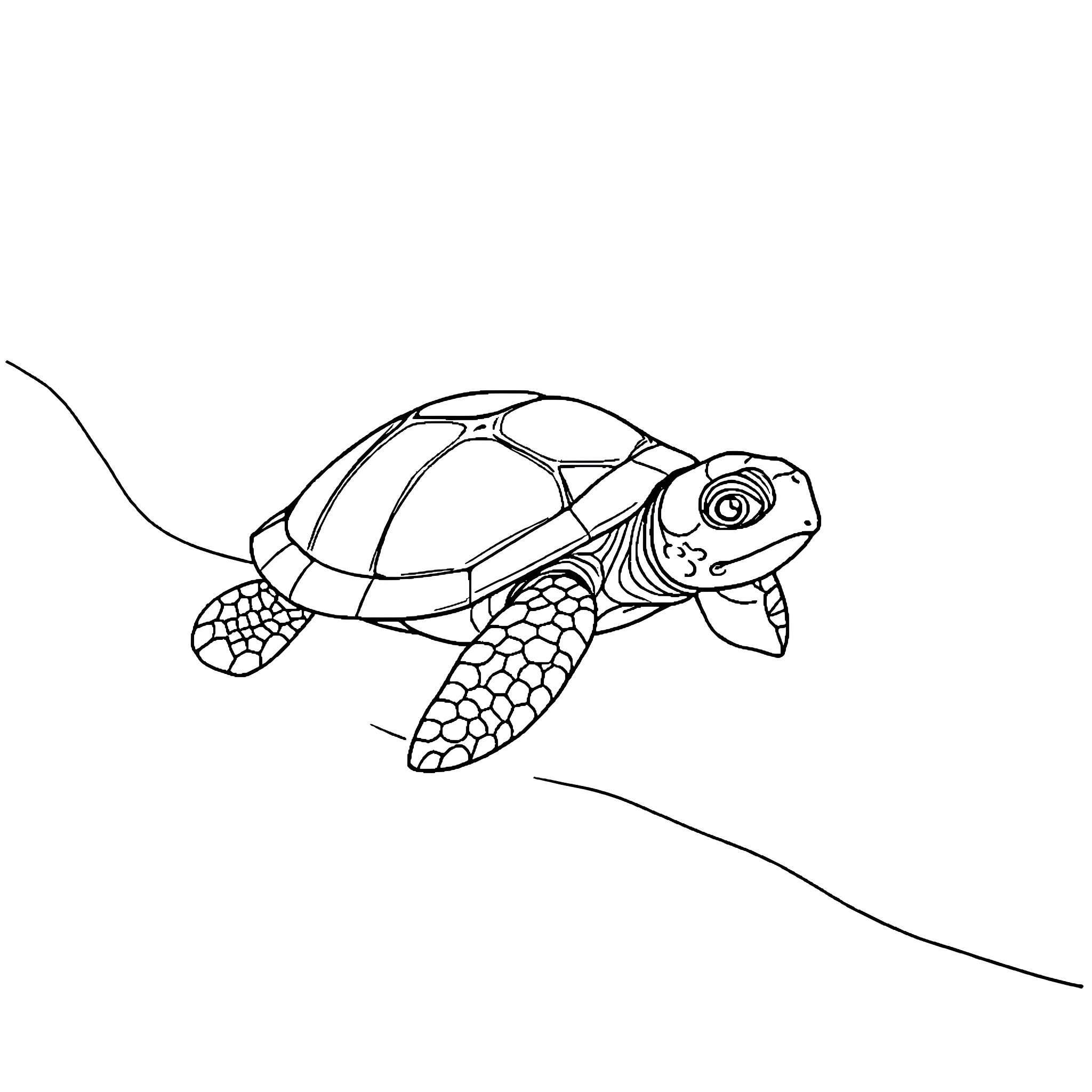 Turtle swimming in the ocean Coloring Page (free black-and-white line drawing printable PDF for all, from beginners to advanced learners, including children, teens, adults, and seniors)