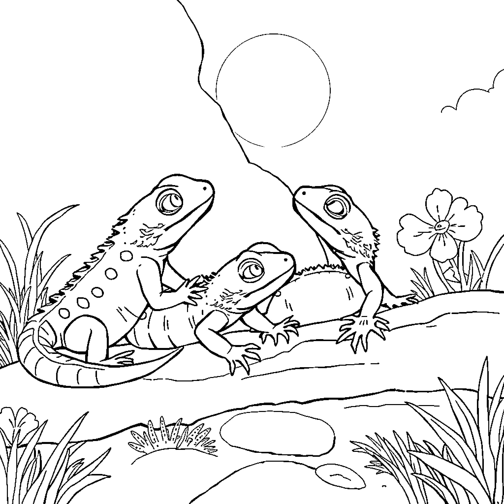 Lizards basking in the sun amid lush vegetation Coloring Page (free black-and-white line drawing printable PDF for all, from beginners to advanced learners, including children, teens, adults, and seniors)