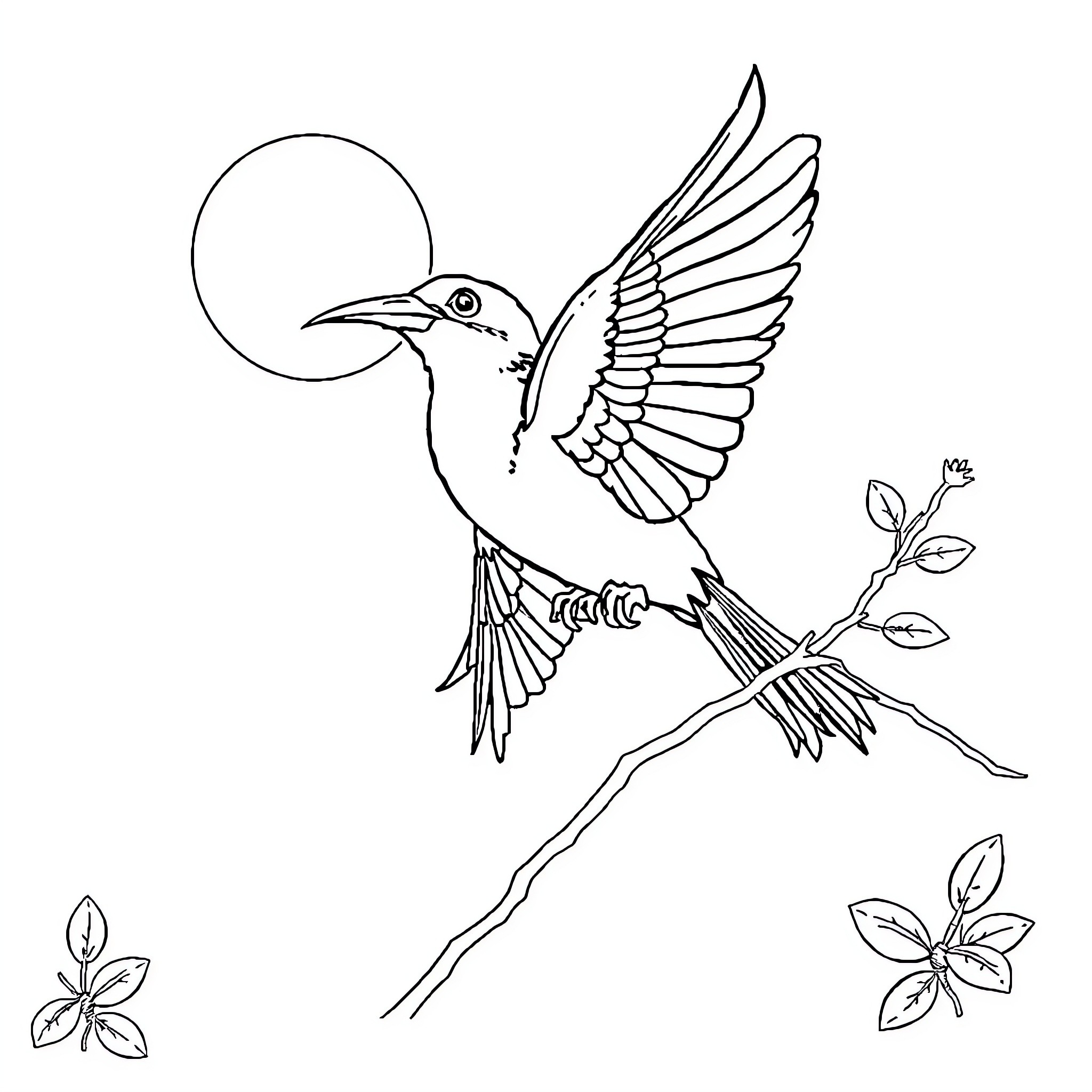 Burung Eman soaring gracefully in the moonlight Coloring Page (free black-and-white line drawing printable PDF for all, from beginners to advanced learners, including children, teens, adults, and seniors)