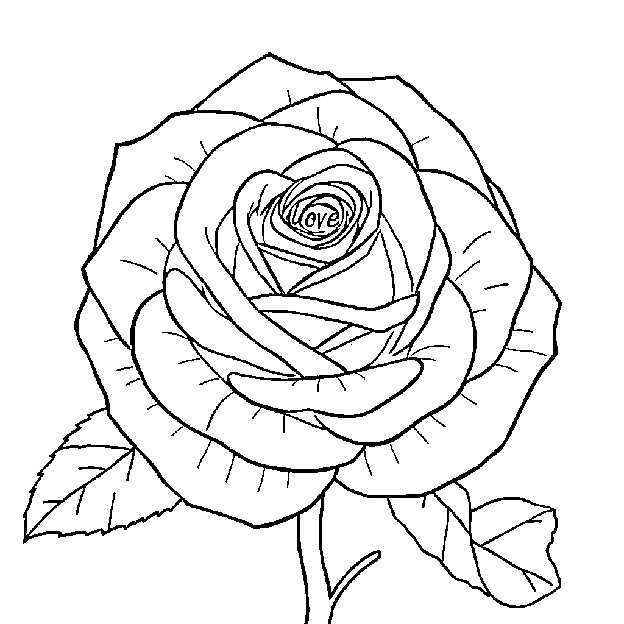 Rose with Heart-Shaped Center in Outline Coloring Page (free black-and-white line drawing printable PDF for all, from beginners to advanced learners, including children, teens, adults, and seniors)