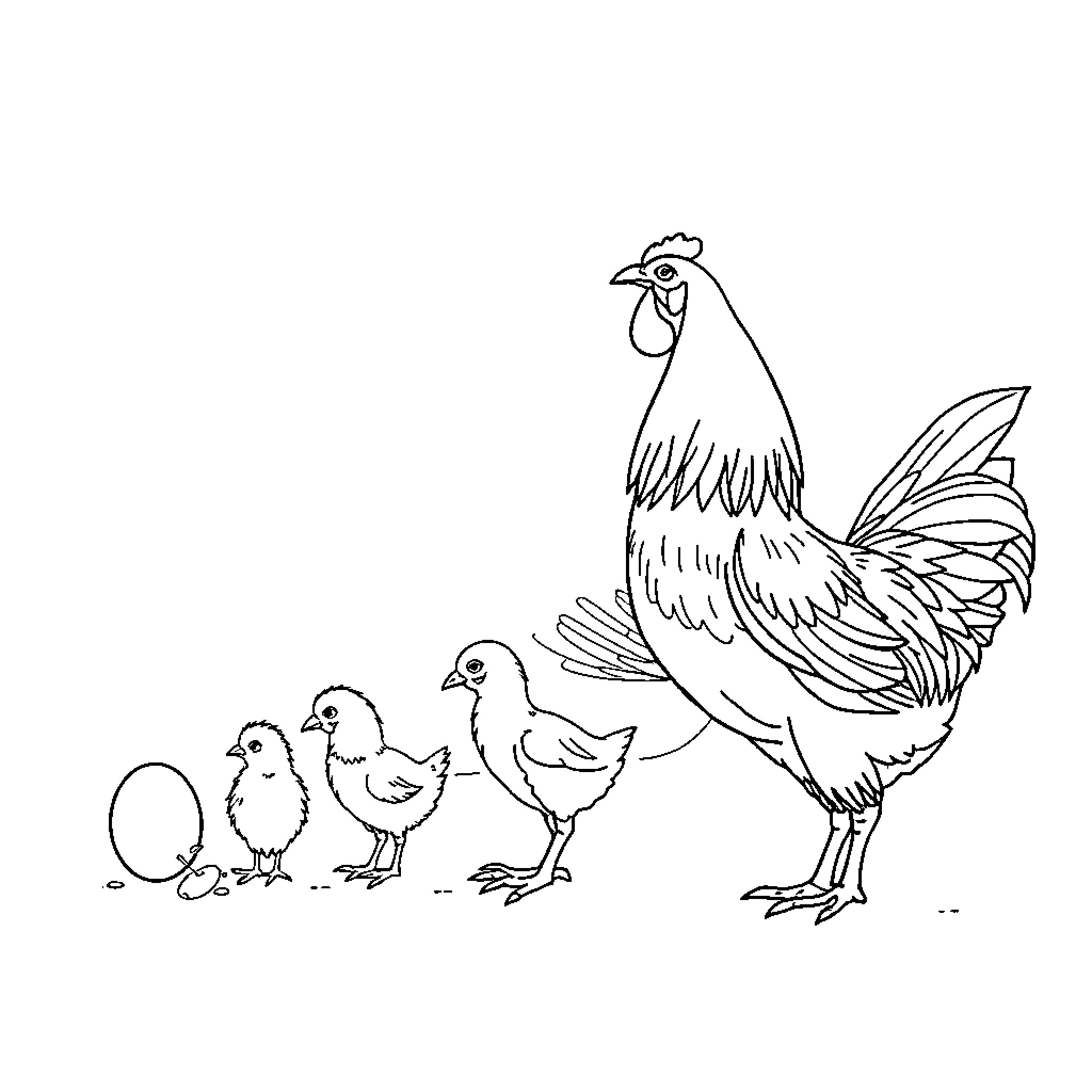 Chicken family in a line Coloring Page (free black-and-white line drawing printable PDF for all, from beginners to advanced learners, including children, teens, adults, and seniors)