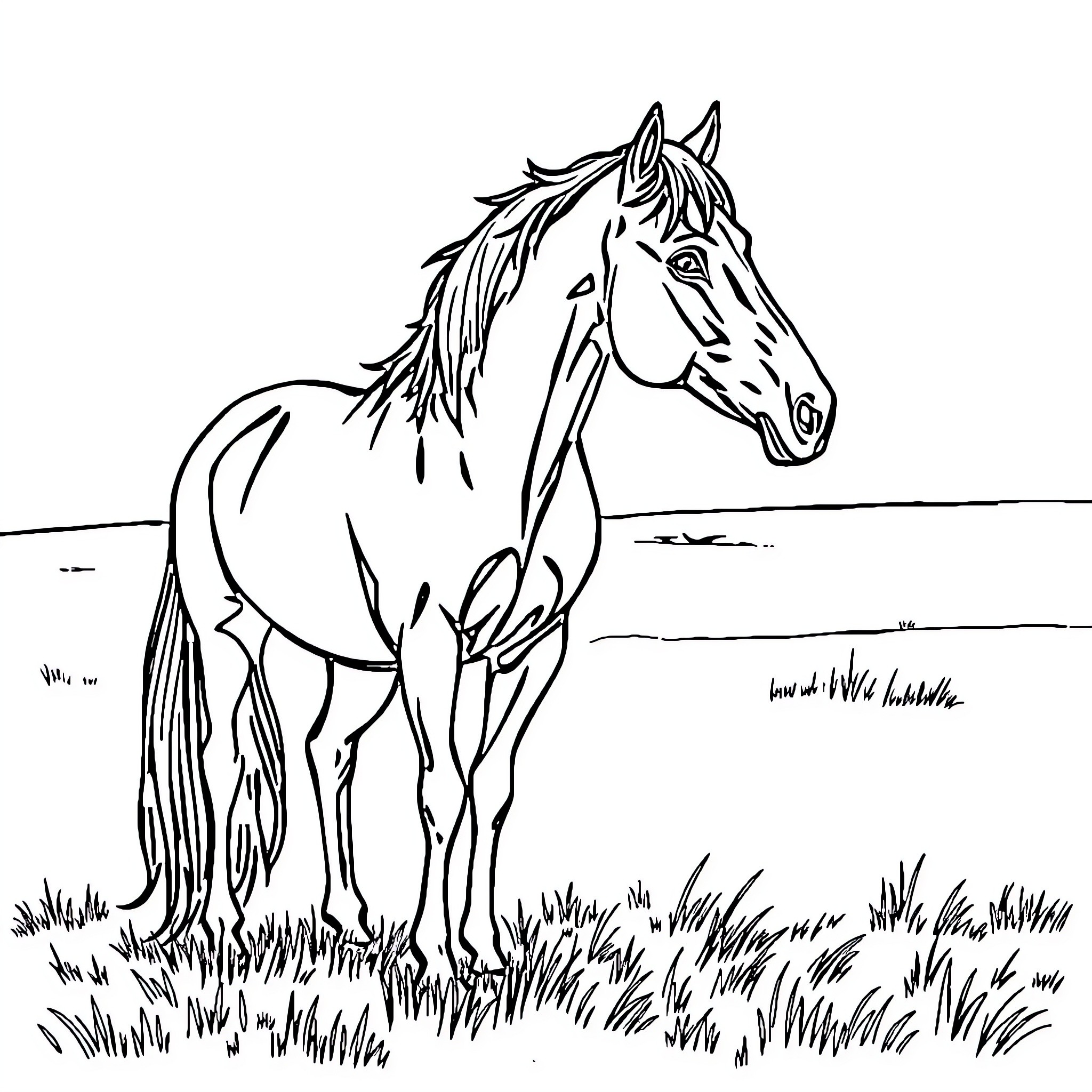 Horse standing in a grassy field Coloring Page (free black-and-white line drawing printable PDF for all, from beginners to advanced learners, including children, teens, adults, and seniors)