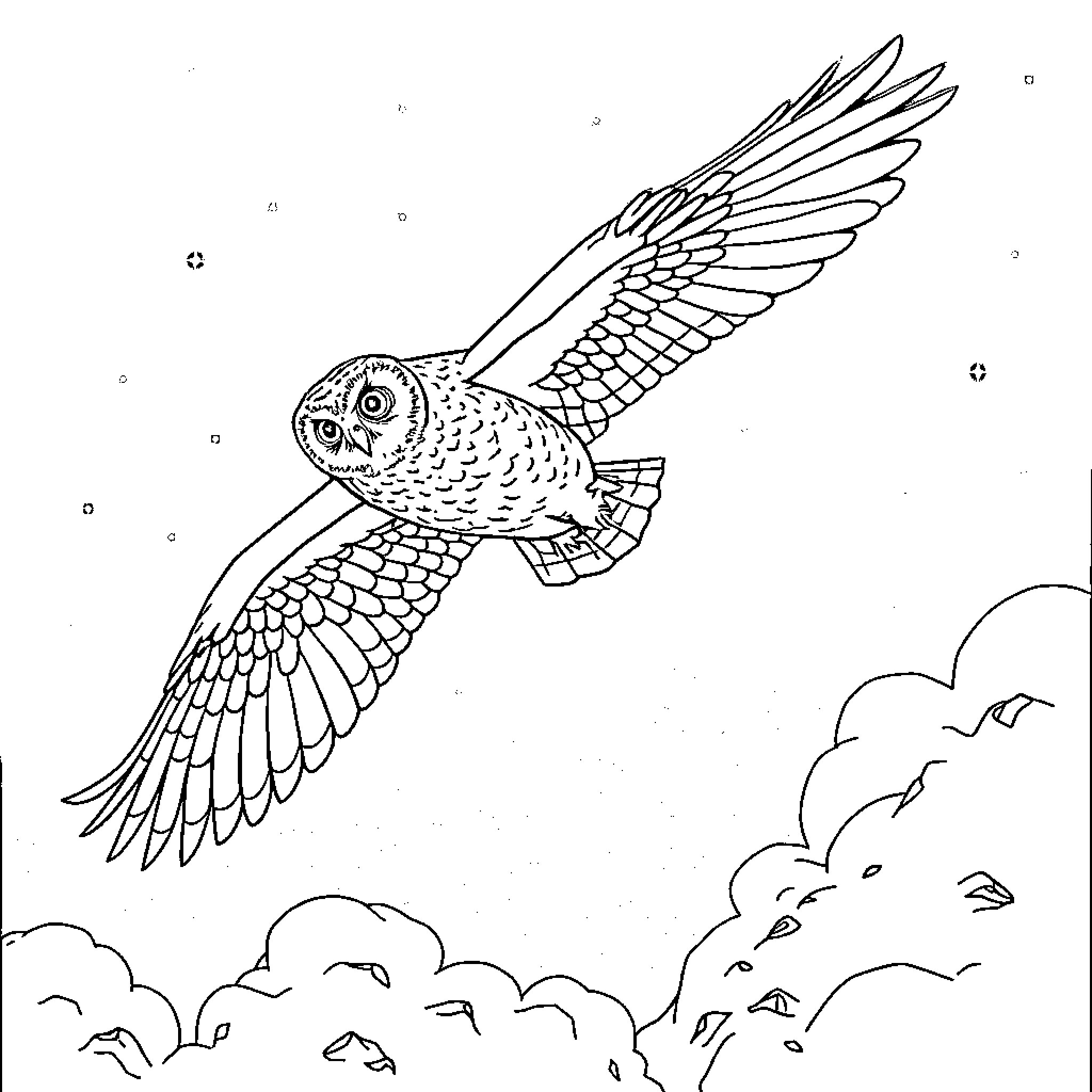 Owl soaring gracefully through the sky Coloring Page (free black-and-white line drawing printable PDF for all, from beginners to advanced learners, including children, teens, adults, and seniors)