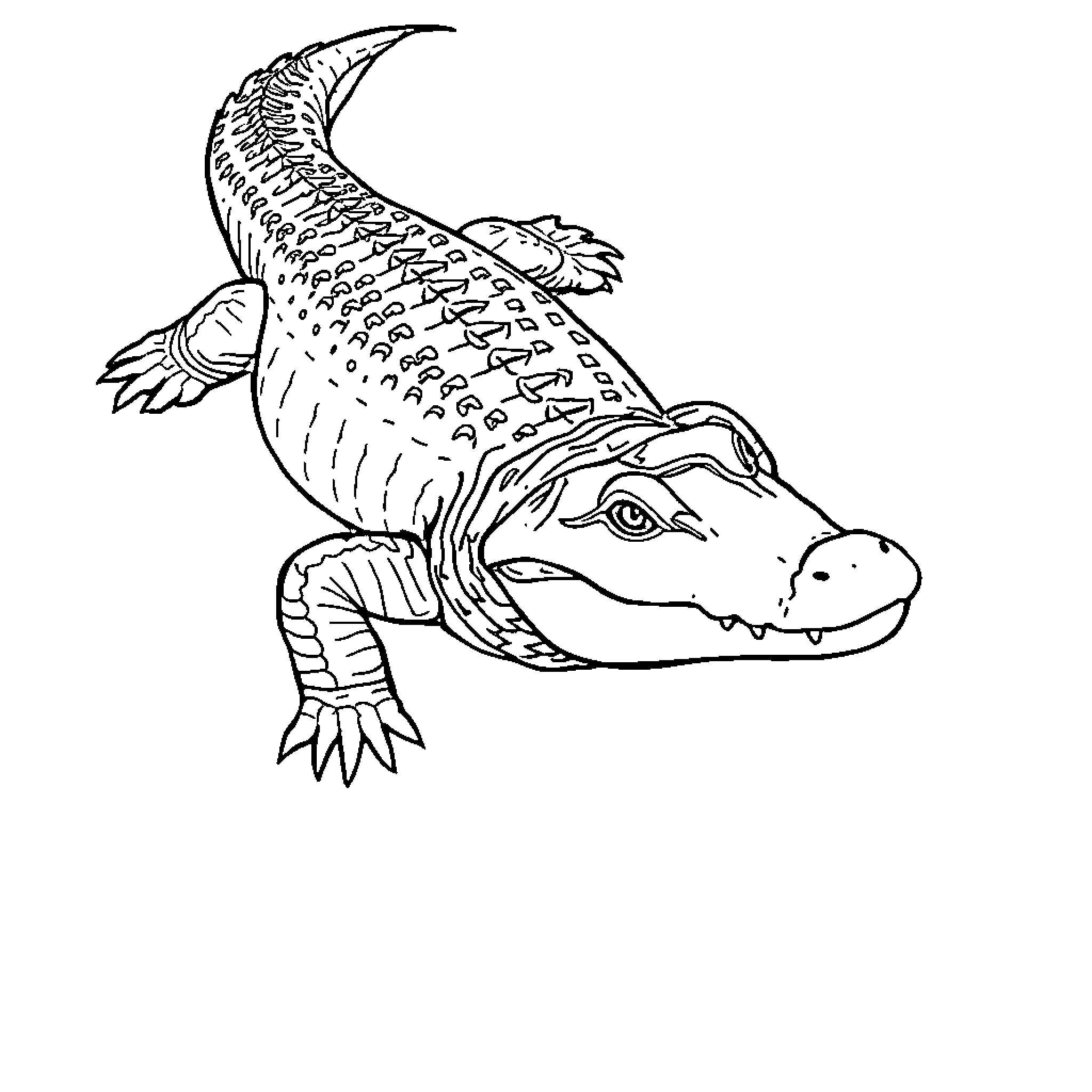 Alligator lounging on riverbank Coloring Page (free black-and-white line drawing printable PDF for all, from beginners to advanced learners, including children, teens, adults, and seniors)