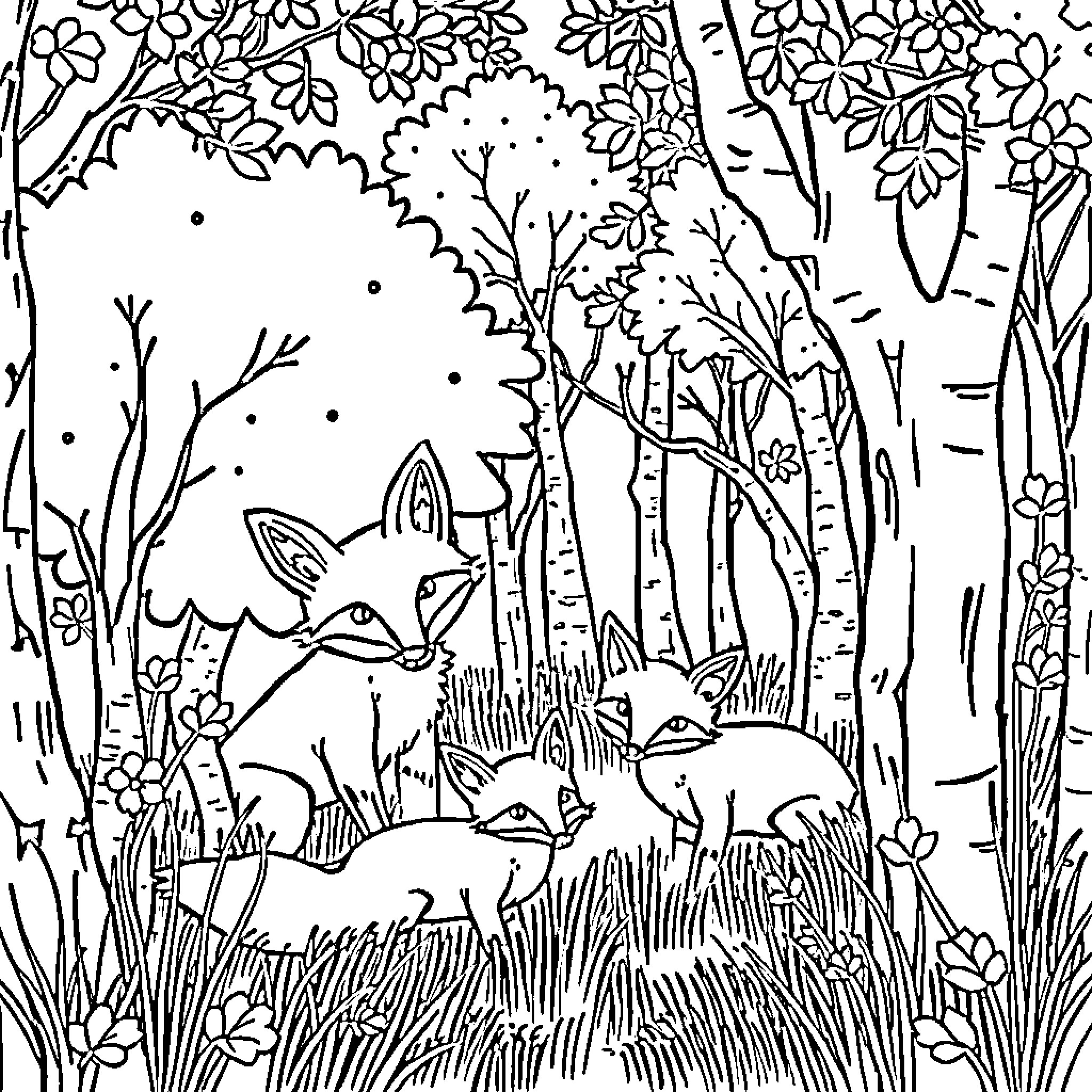 Fox Exploring the Enchanting Forest Coloring Page (free black-and-white line drawing printable PDF for all, from beginners to advanced learners, including children, teens, adults, and seniors)