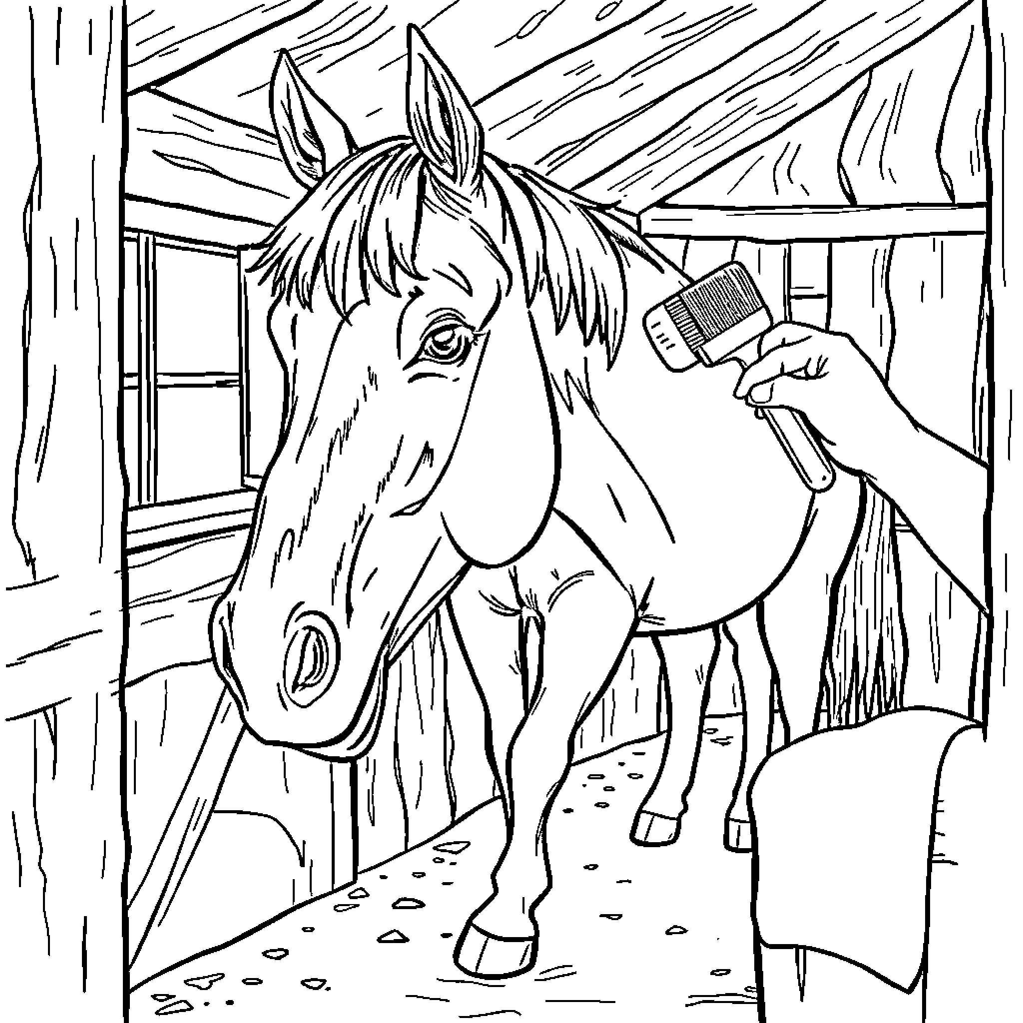 Horse being groomed in the stable Coloring Page (free black-and-white line drawing printable PDF for all, from beginners to advanced learners, including children, teens, adults, and seniors)