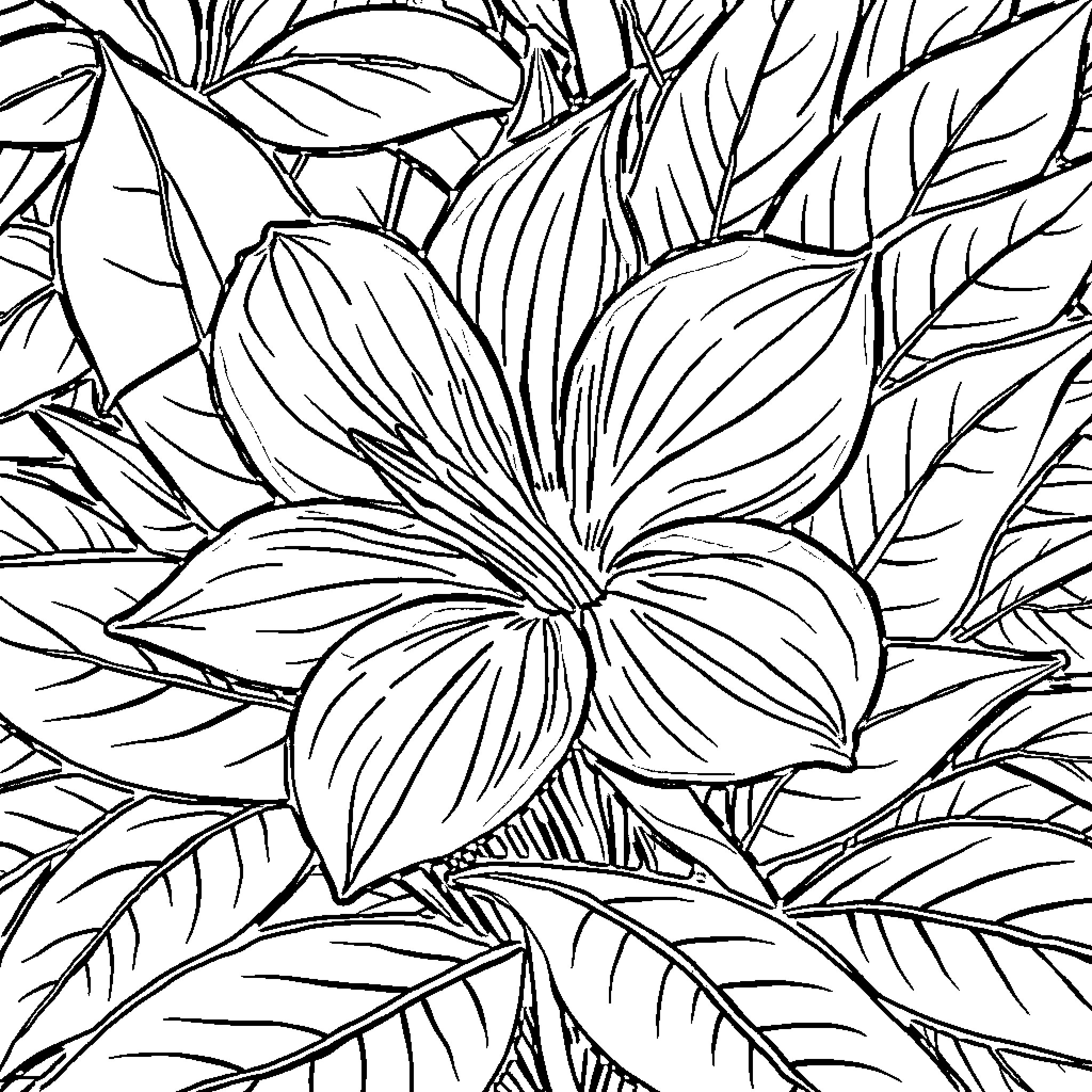 Flower Floral Pattern with Leaves Coloring Page (free black-and-white line drawing printable PDF for all, from beginners to advanced learners, including children, teens, adults, and seniors)