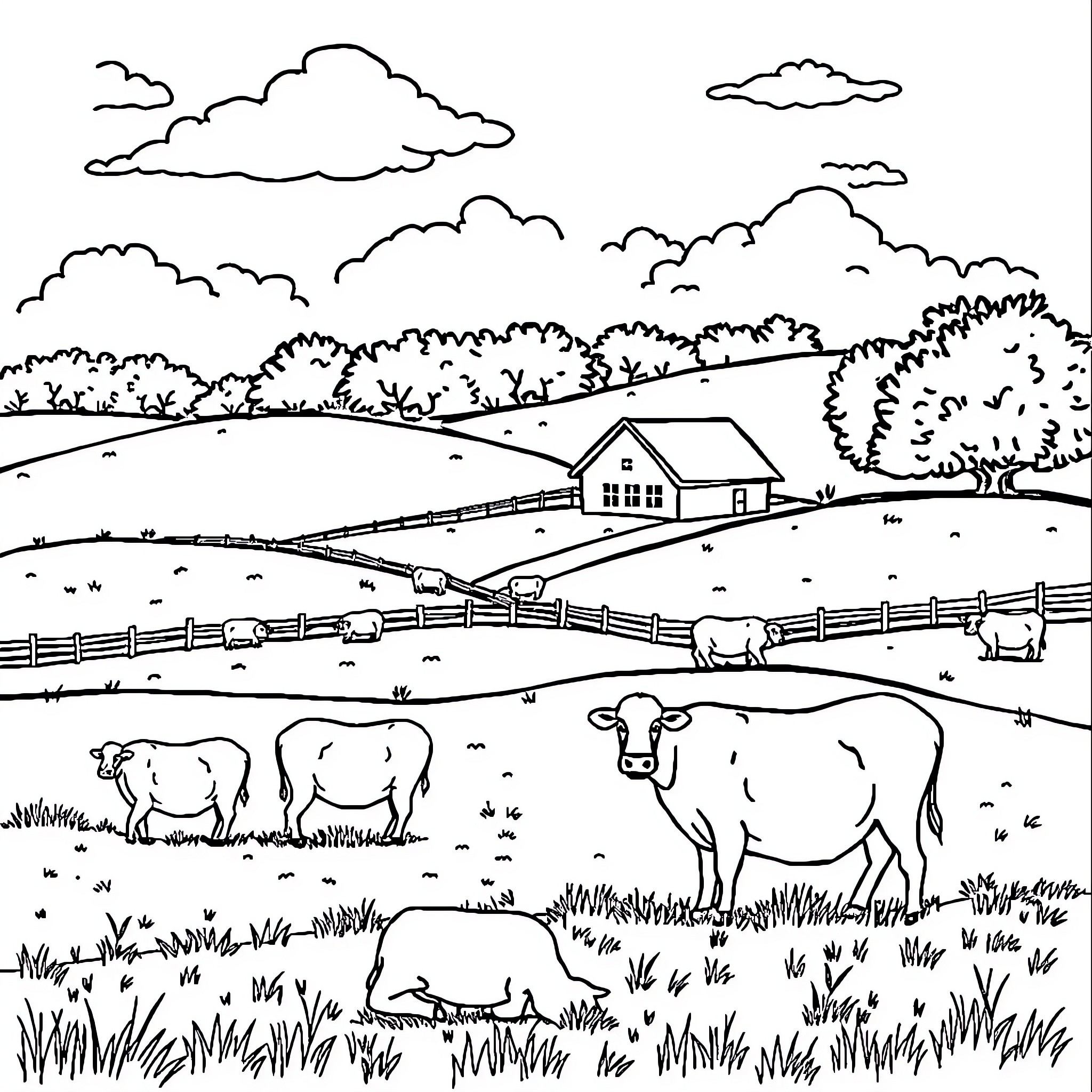 Cow grazing peacefully in pastoral countryside scene Coloring Page (free black-and-white line drawing printable PDF for all, from beginners to advanced learners, including children, teens, adults, and seniors)