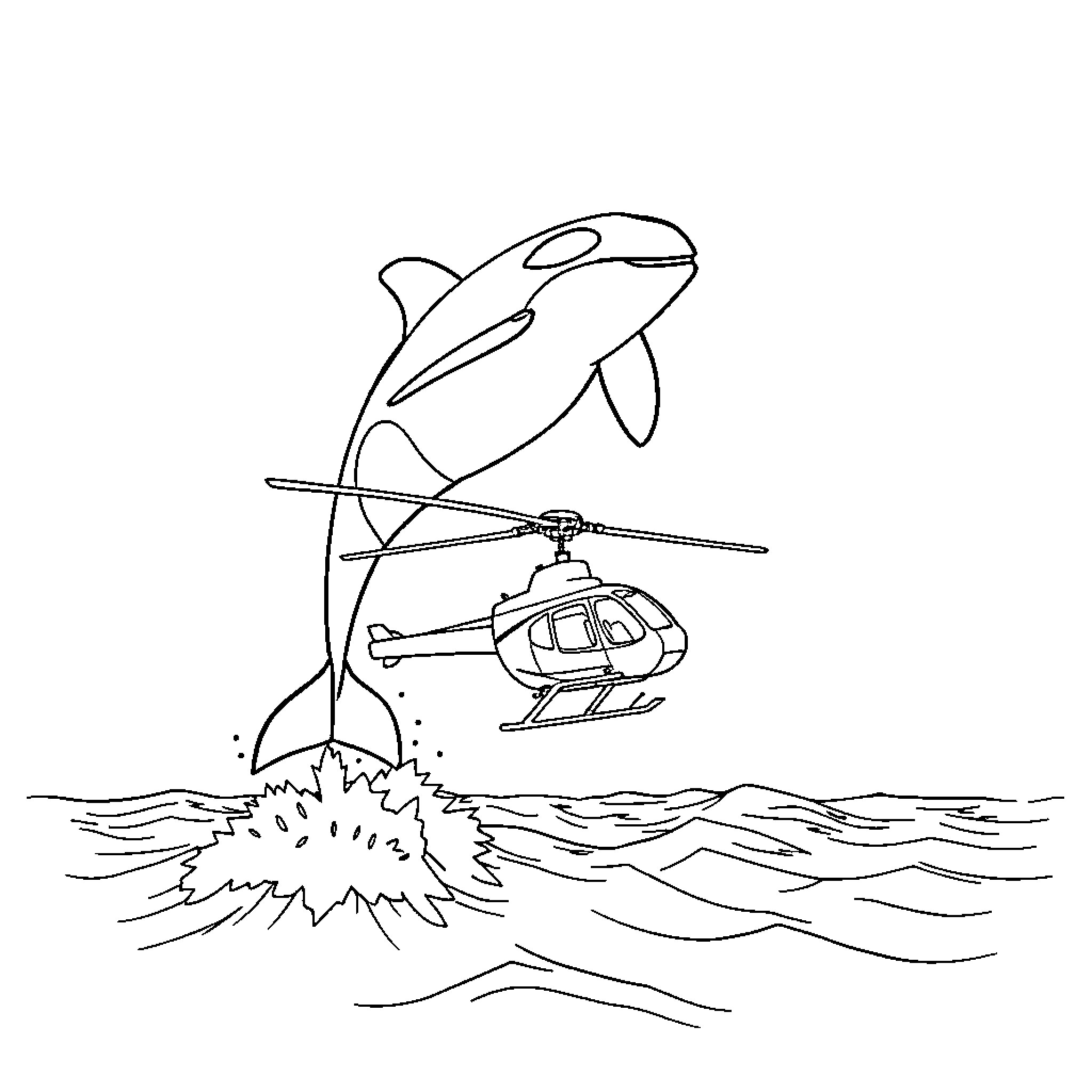 Orca chasing helicopter over the ocean Coloring Page (free black-and-white line drawing printable PDF for all, from beginners to advanced learners, including children, teens, adults, and seniors)