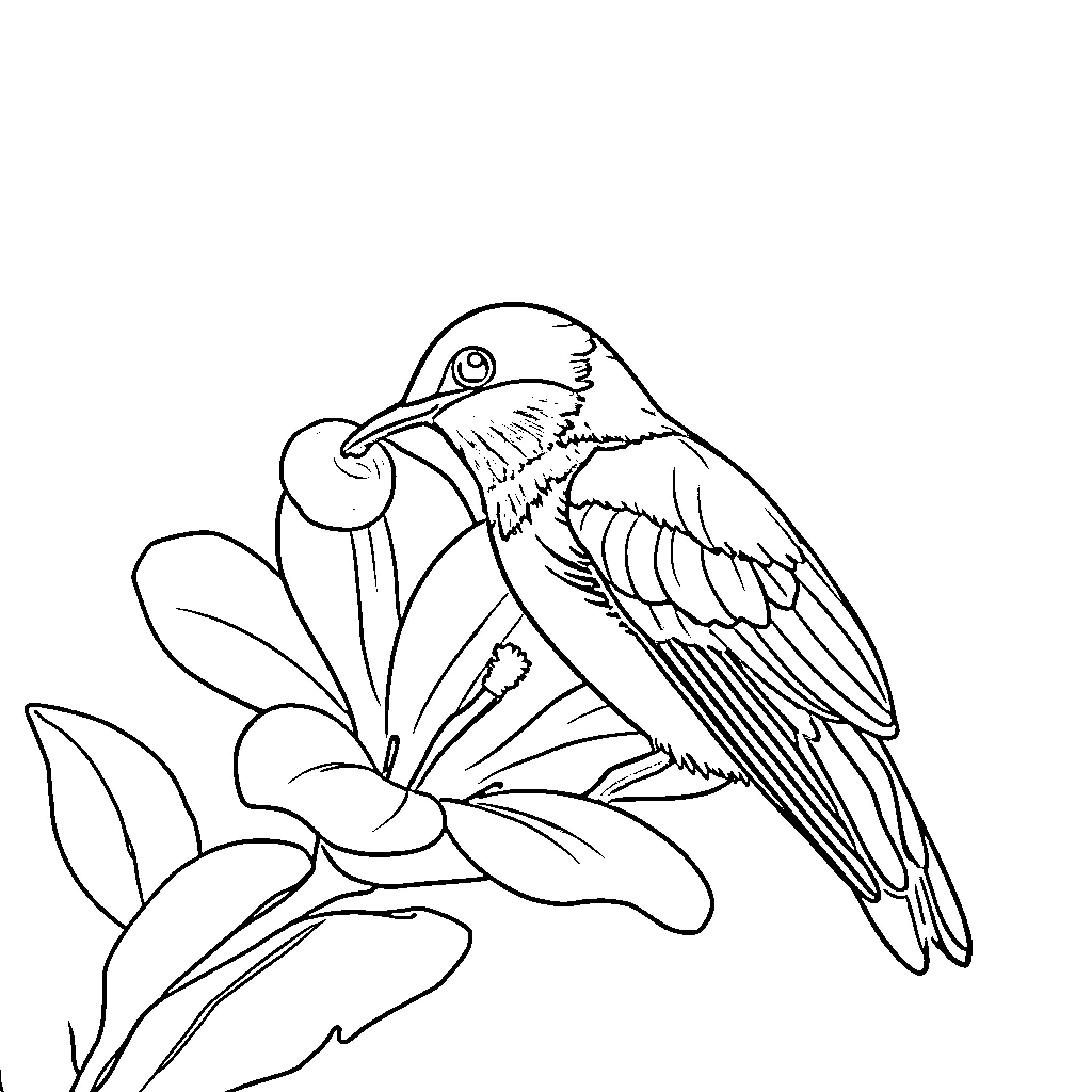 Bird perched on a floral branch Coloring Page (free black-and-white line drawing printable PDF for all, from beginners to advanced learners, including children, teens, adults, and seniors)
