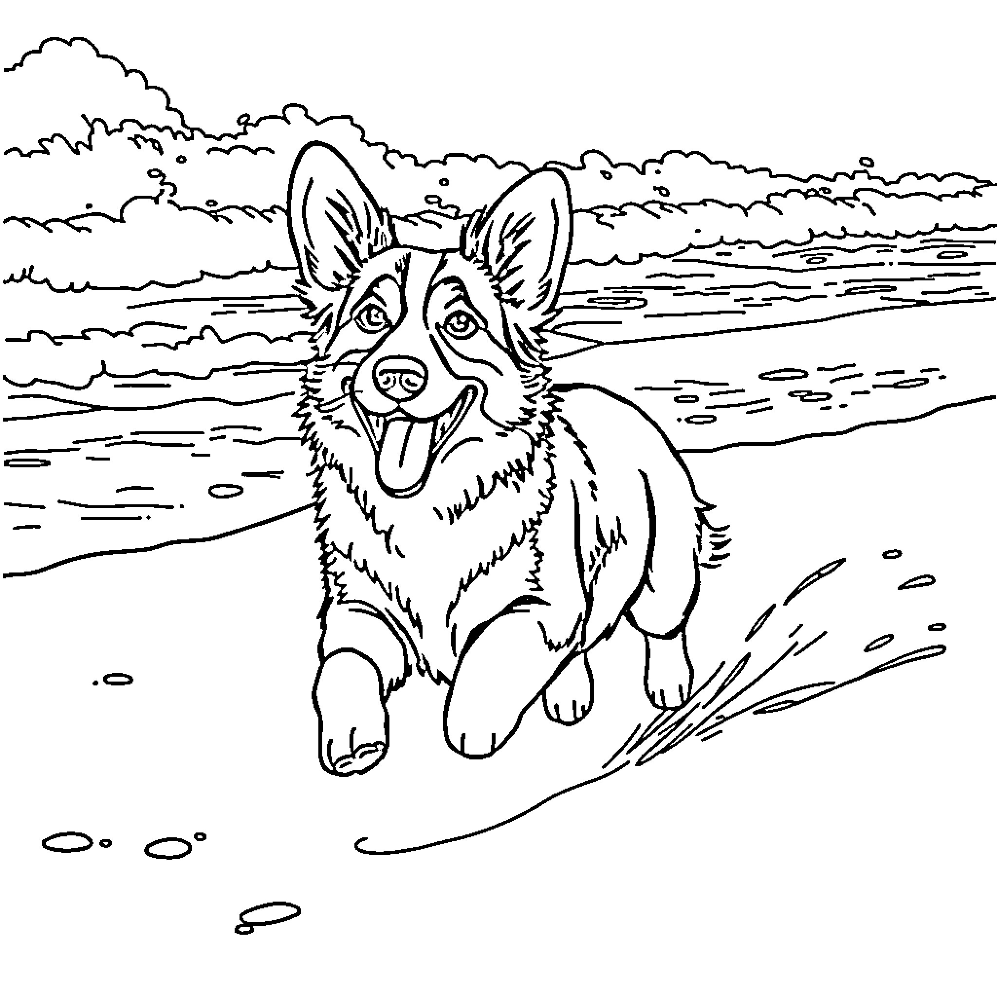 Corgi playing joyfully on the beach Coloring Page (free black-and-white line drawing printable PDF for all, from beginners to advanced learners, including children, teens, adults, and seniors)