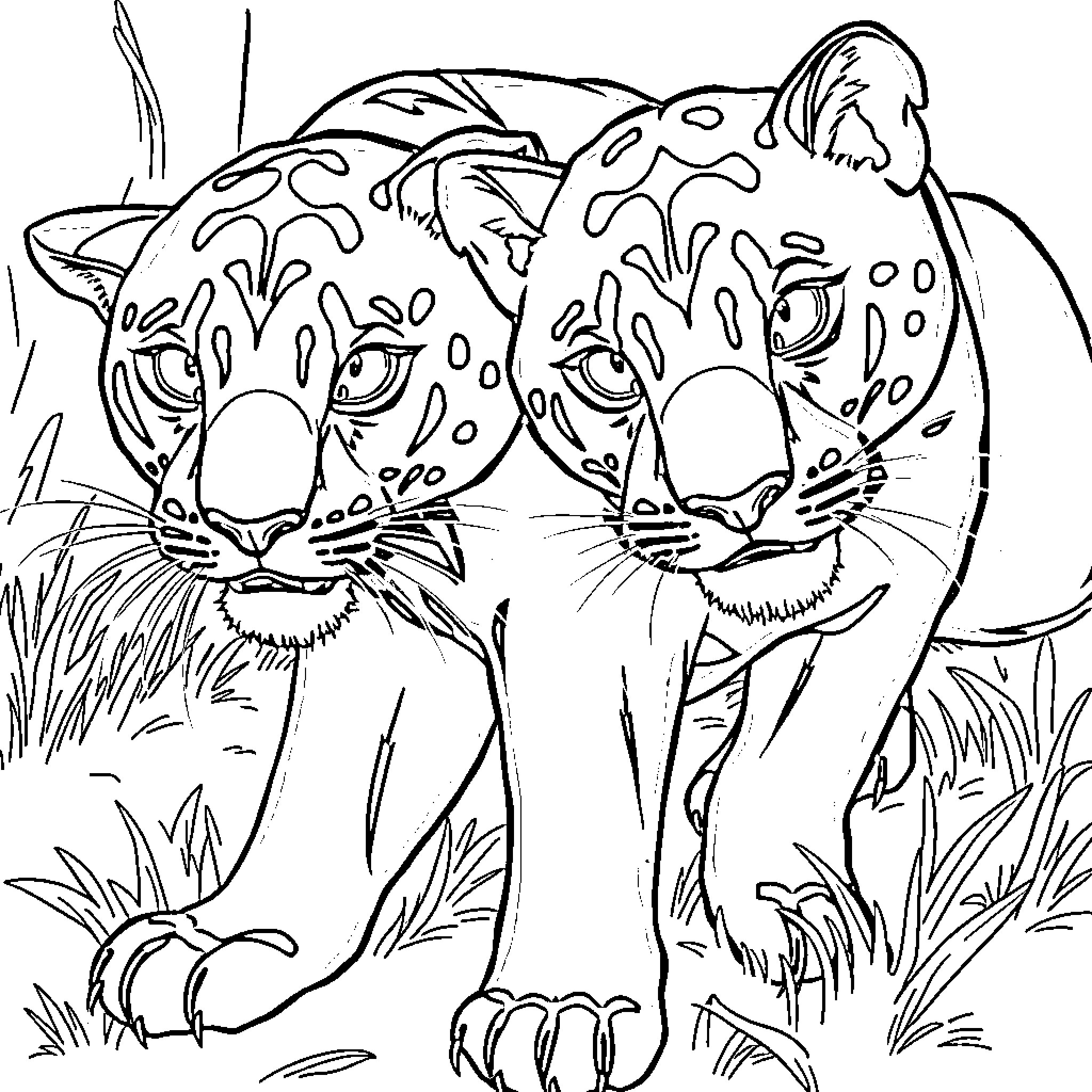 Panther pair prowling through the jungle Coloring Page (free black-and-white line drawing printable PDF for all, from beginners to advanced learners, including children, teens, adults, and seniors)