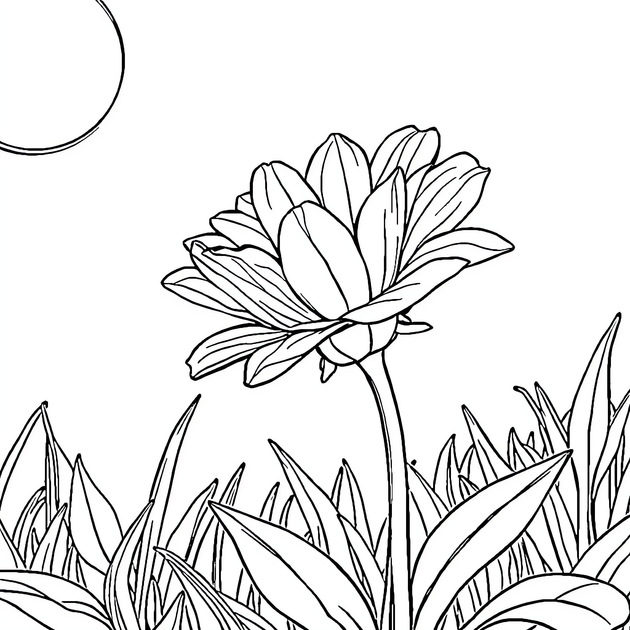 Bloom of a Radiant Flower in Nature Coloring Page (free black-and-white line drawing printable PDF for all, from beginners to advanced learners, including children, teens, adults, and seniors)