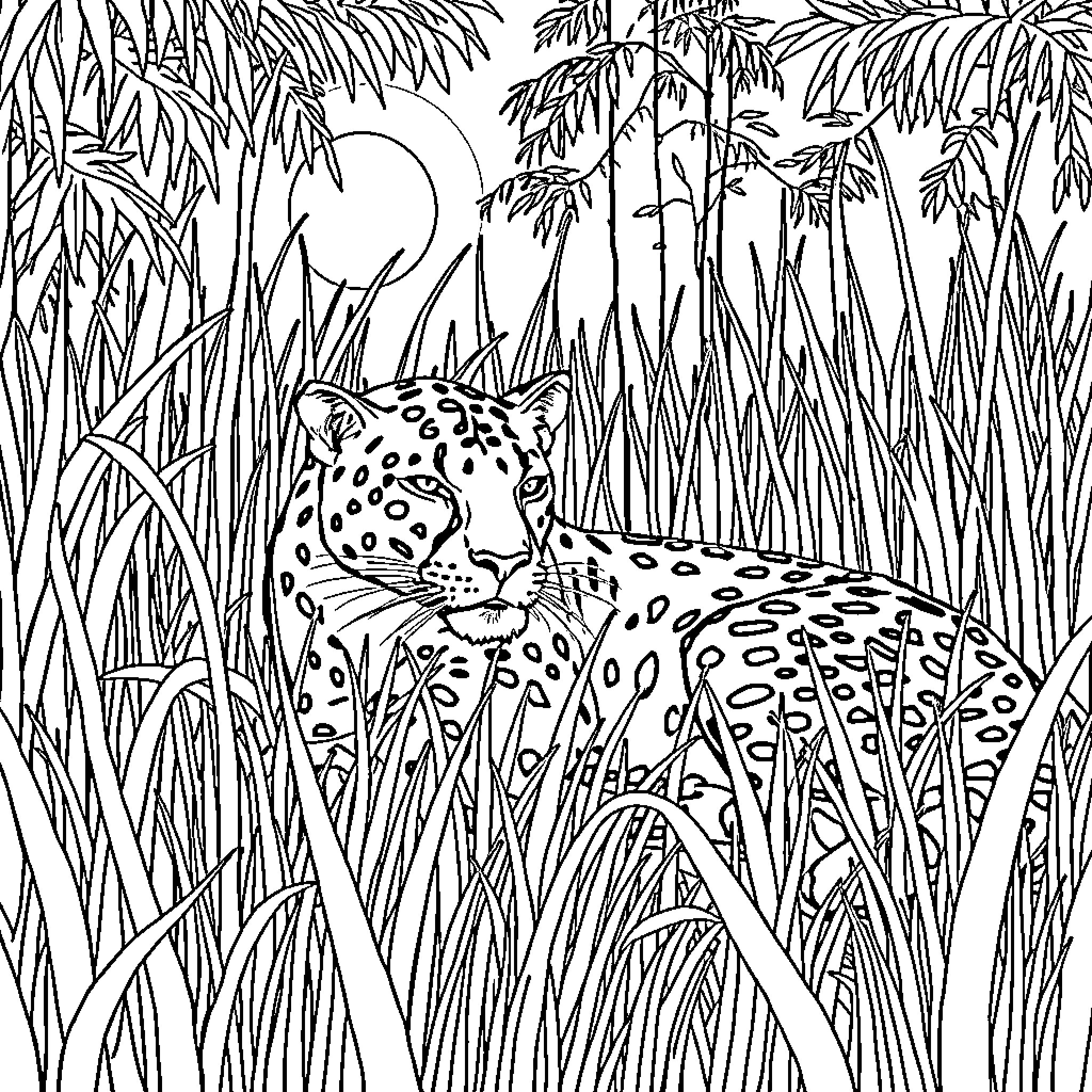 Panther prowling through the jungle at night Coloring Page (free black-and-white line drawing printable PDF for all, from beginners to advanced learners, including children, teens, adults, and seniors)