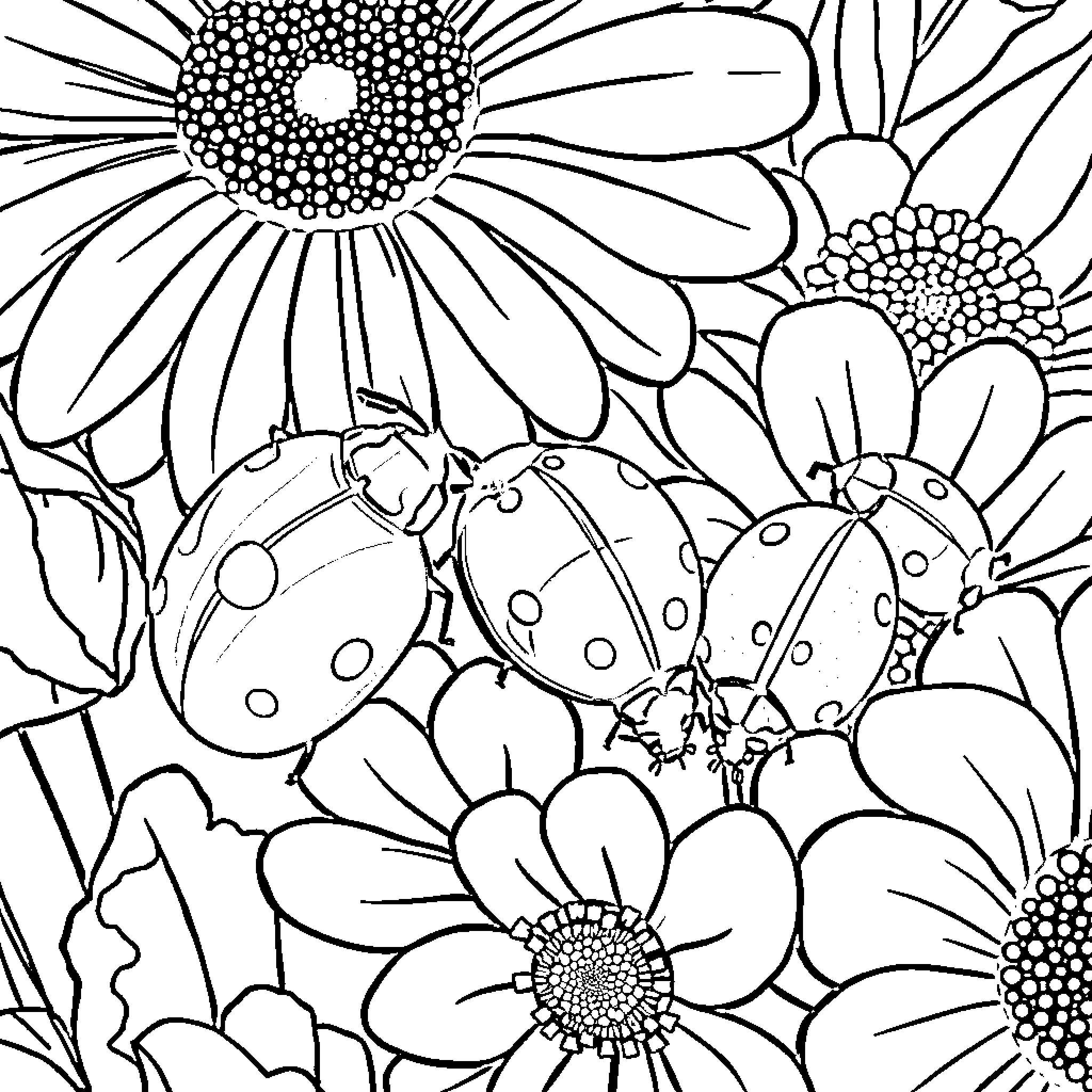 Ladybugs among vibrant flowers Coloring Page (free black-and-white line drawing printable PDF for all, from beginners to advanced learners, including children, teens, adults, and seniors)