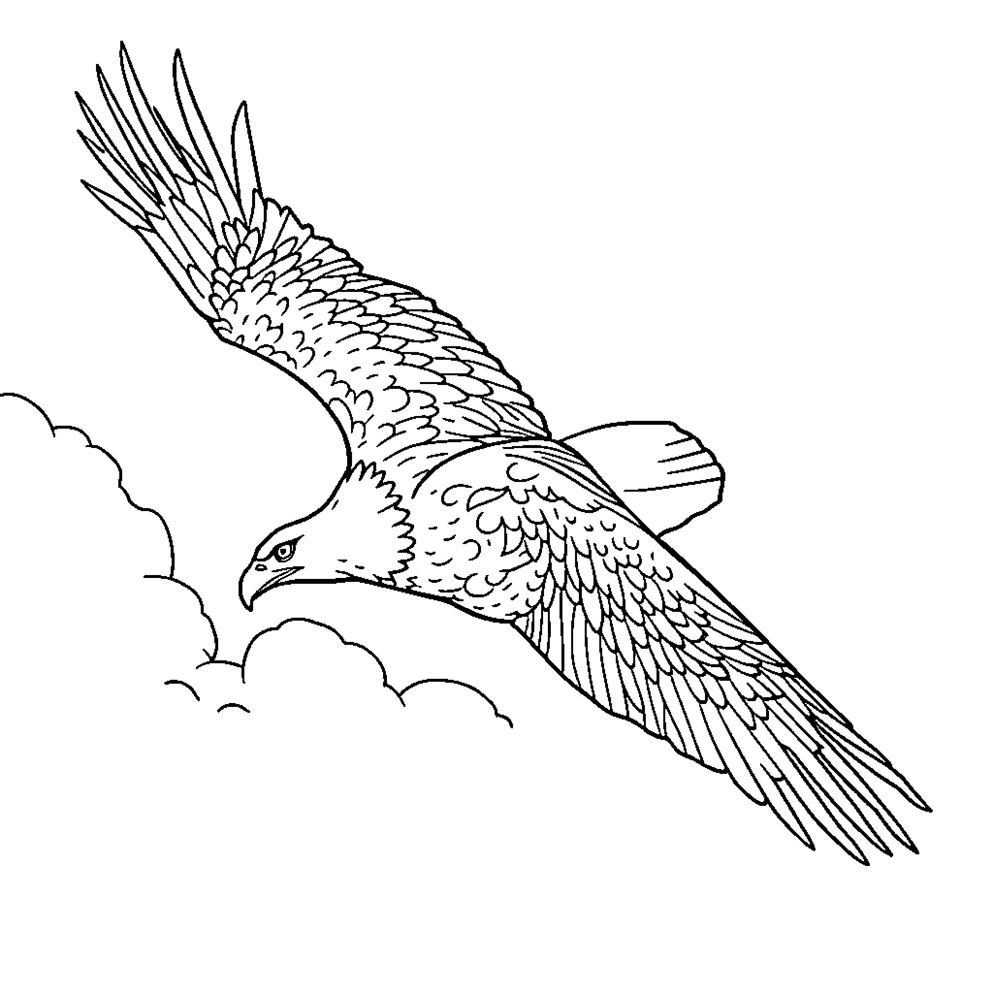 Eagle soaring through the clouds Coloring Page (free black-and-white line drawing printable PDF for all, from beginners to advanced learners, including children, teens, adults, and seniors)