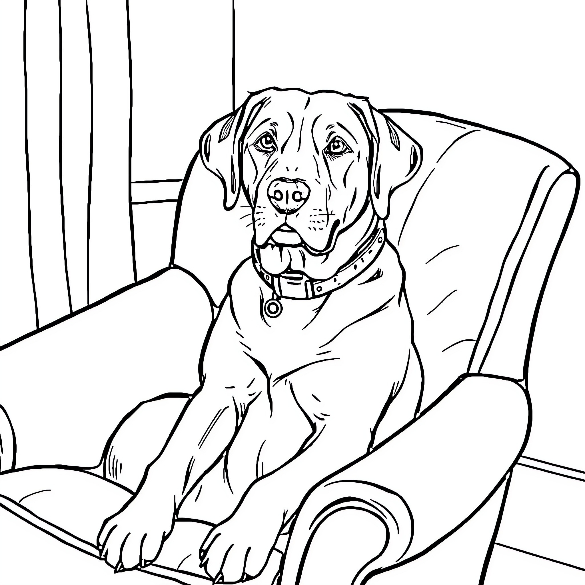 Labrador relaxing comfortably in armchair Coloring Page (free black-and-white line drawing printable PDF for all, from beginners to advanced learners, including children, teens, adults, and seniors)