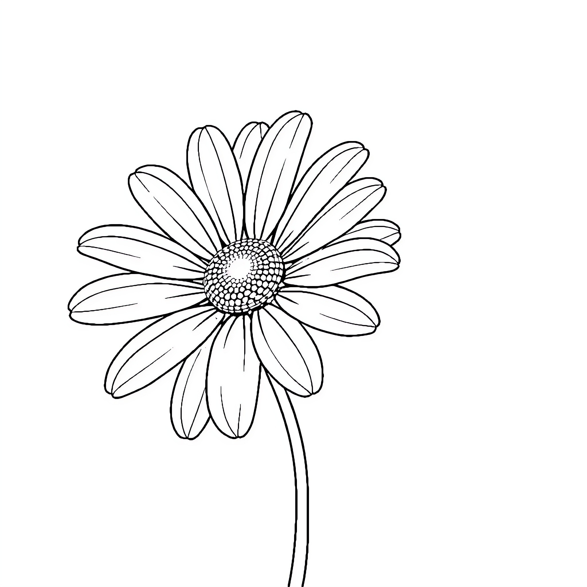 Daisy blooming beautifully in the garden Coloring Page (free black-and-white line drawing printable PDF for all, from beginners to advanced learners, including children, teens, adults, and seniors)