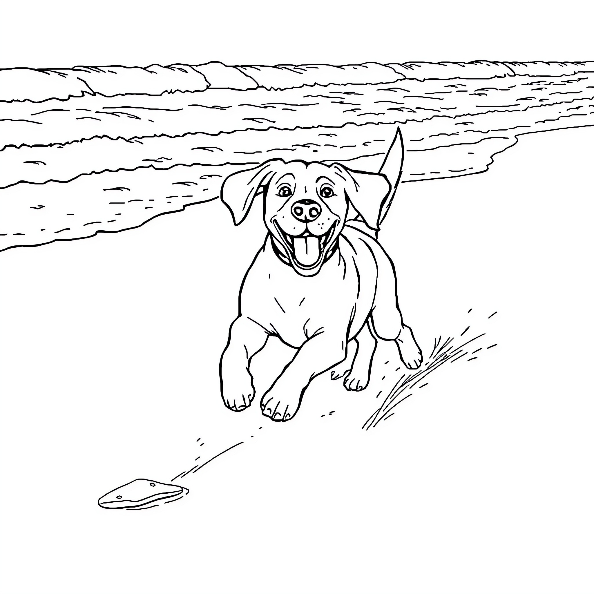 Beagle playing joyfully on the beach Coloring Page (free black-and-white line drawing printable PDF for all, from beginners to advanced learners, including children, teens, adults, and seniors)