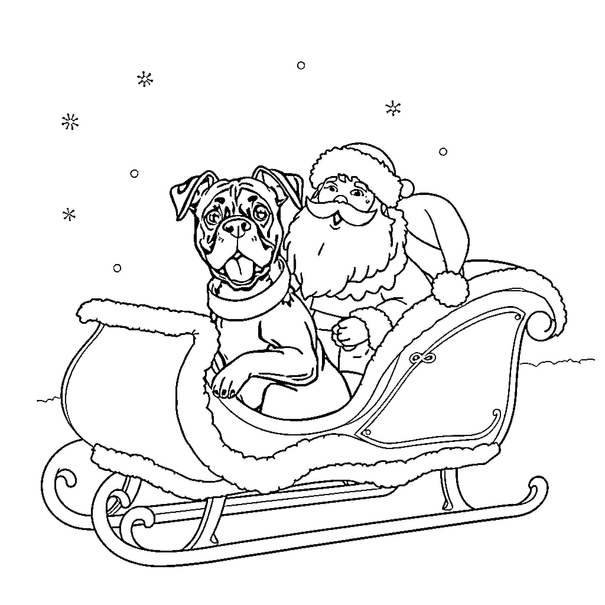 Boxer dog riding in Santa's sleigh Coloring Page (free black-and-white line drawing printable PDF for all, from beginners to advanced learners, including children, teens, adults, and seniors)