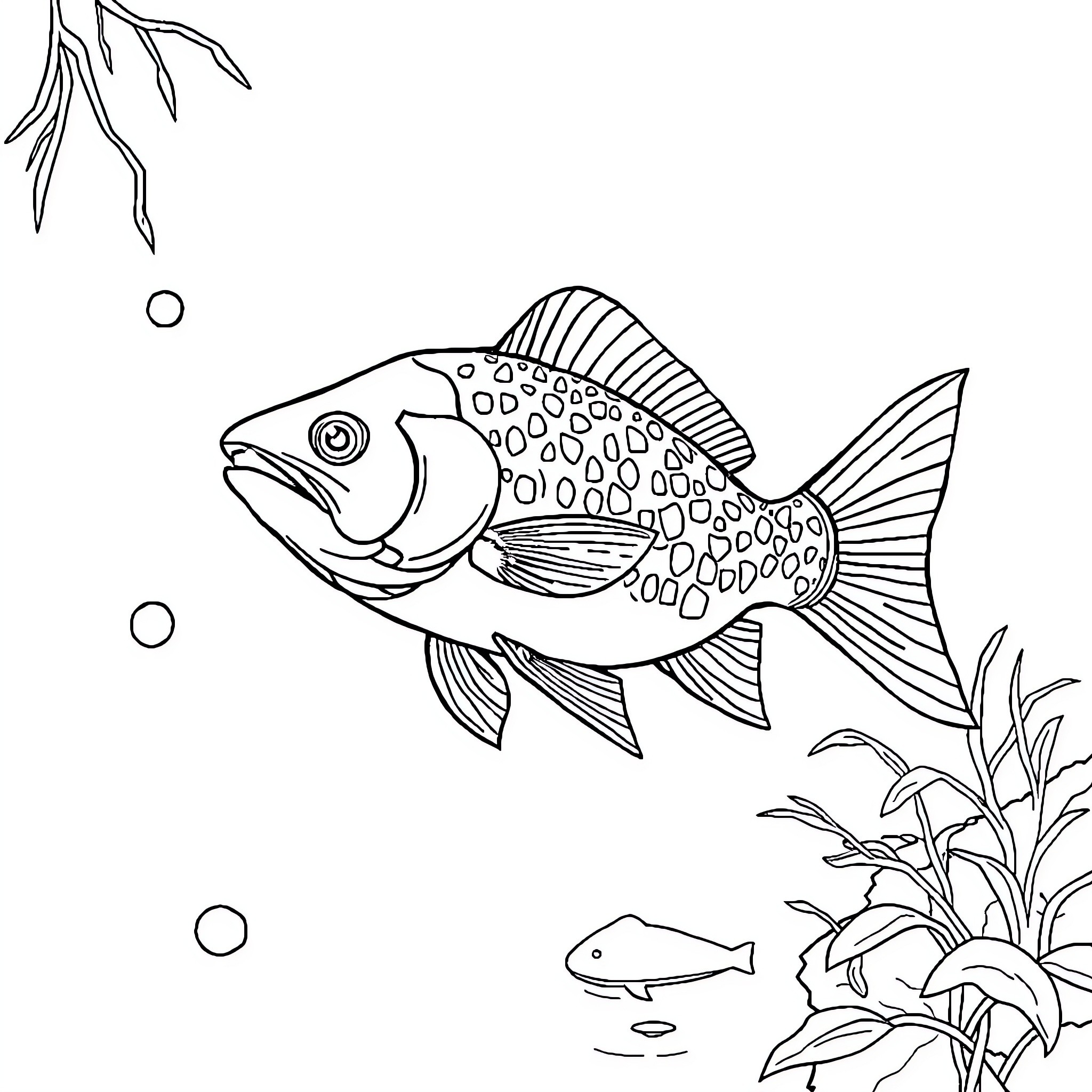Bear swimming in the underwater scene Coloring Page (free black-and-white line drawing printable PDF for all, from beginners to advanced learners, including children, teens, adults, and seniors)
