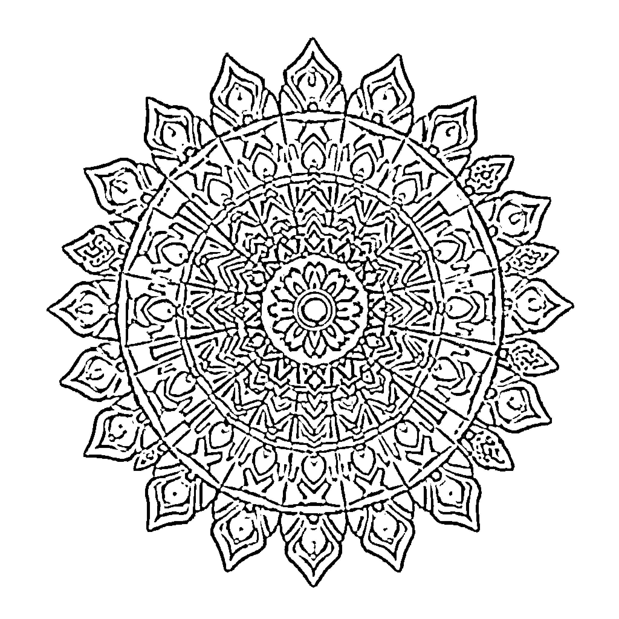 Mandala of intricate floral patterns Coloring Page (free black-and-white line drawing printable PDF for all, from beginners to advanced learners, including children, teens, adults, and seniors)