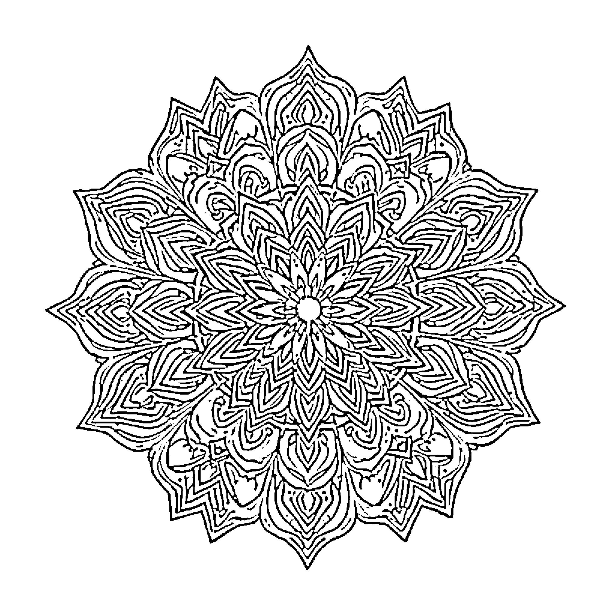 Mandala of Intricate Floral Patterns Coloring Page (free black-and-white line drawing printable PDF for all, from beginners to advanced learners, including children, teens, adults, and seniors)