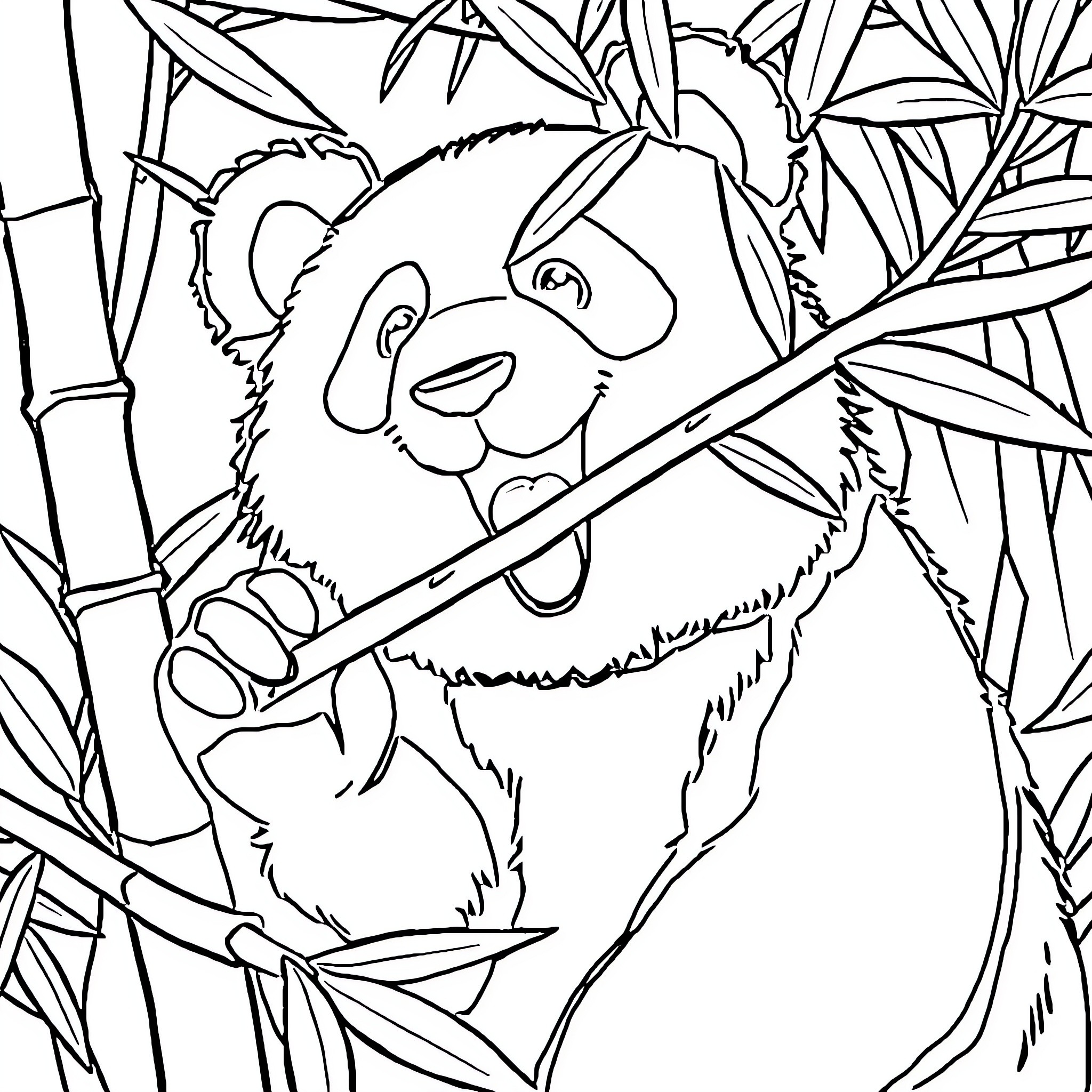 Panda exploring bamboo forest Coloring Page (free black-and-white line drawing printable PDF for all, from beginners to advanced learners, including children, teens, adults, and seniors)