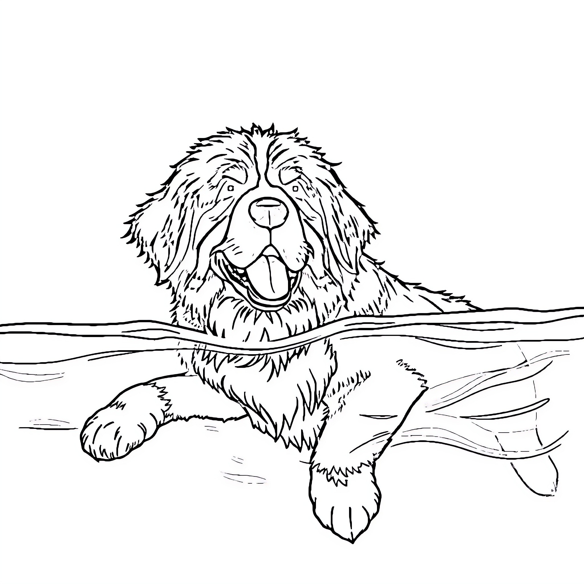 Bernese Mountain Dog relaxing in the water Coloring Page (free black-and-white line drawing printable PDF for all, from beginners to advanced learners, including children, teens, adults, and seniors)