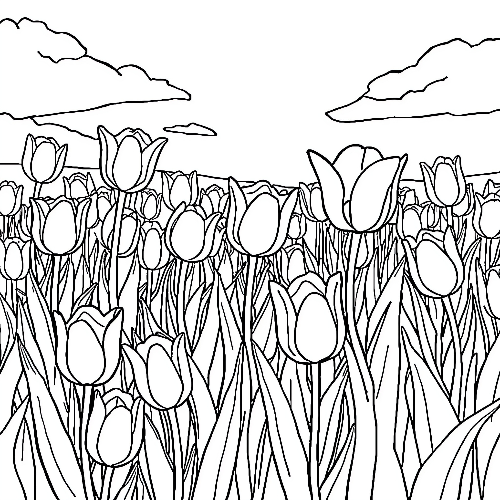Tulip field in bloom with rolling hills Coloring Page (free black-and-white line drawing printable PDF for all, from beginners to advanced learners, including children, teens, adults, and seniors)