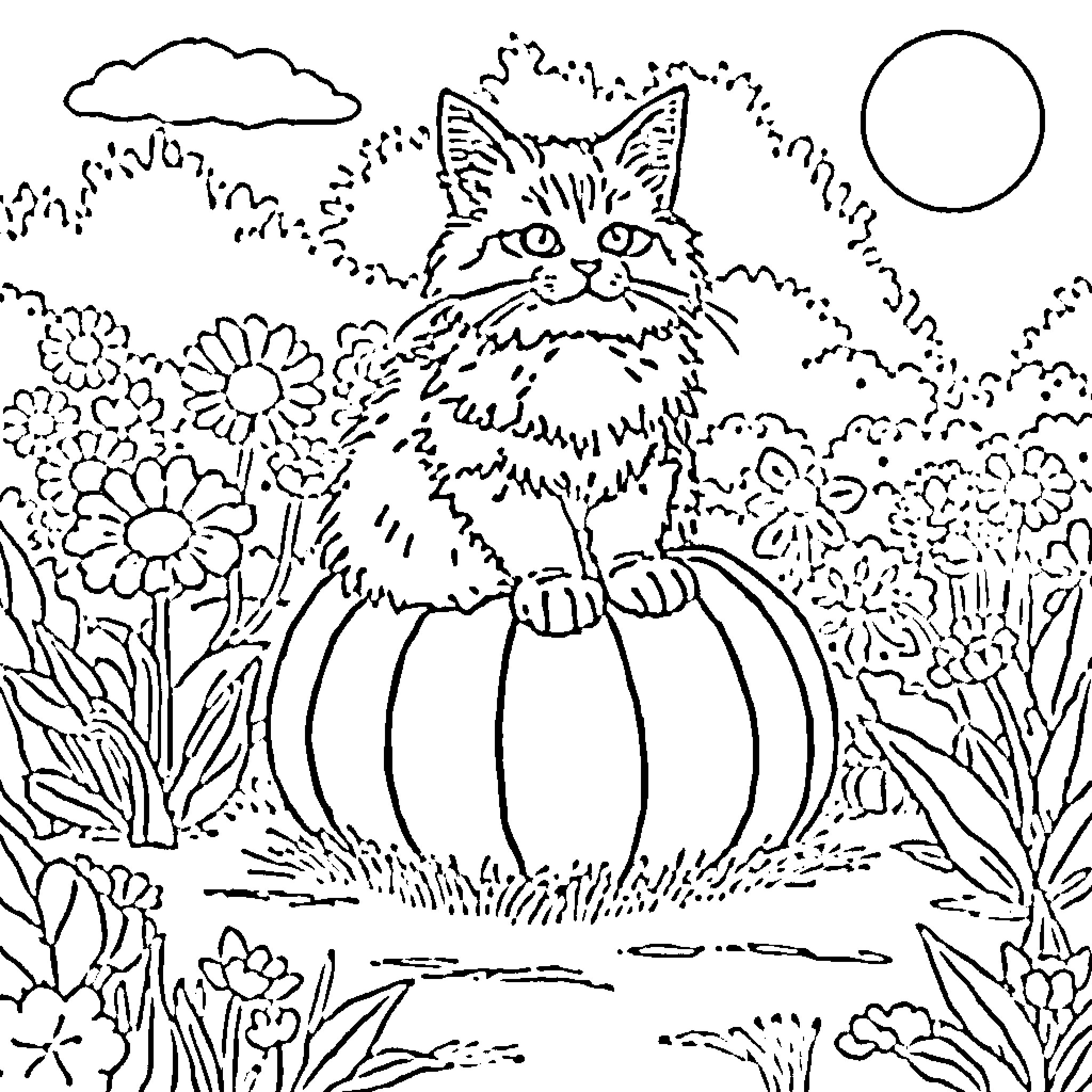 Cat sitting on pumpkin in field of flowers Coloring Page (free black-and-white line drawing printable PDF for all, from beginners to advanced learners, including children, teens, adults, and seniors)