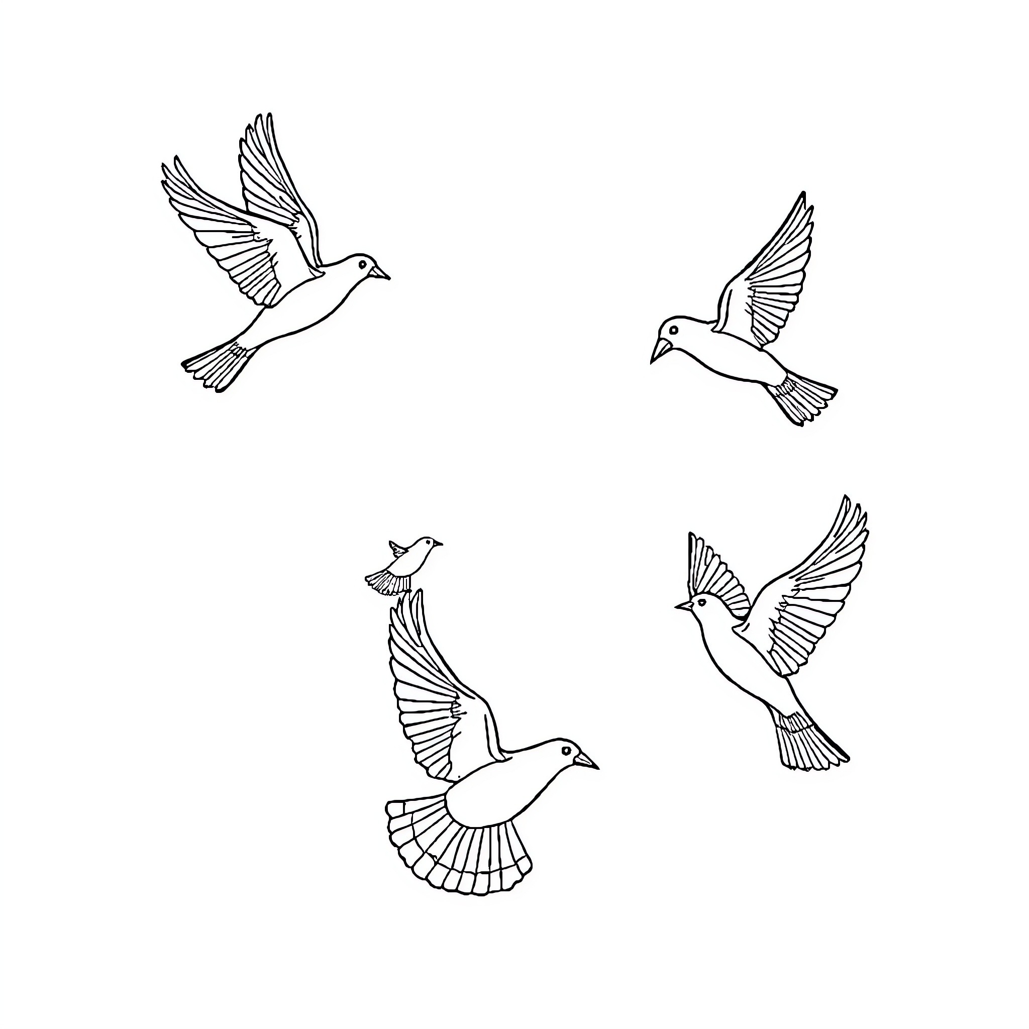 Birds in flight with wings spread Coloring Page (free black-and-white line drawing printable PDF for all, from beginners to advanced learners, including children, teens, adults, and seniors)