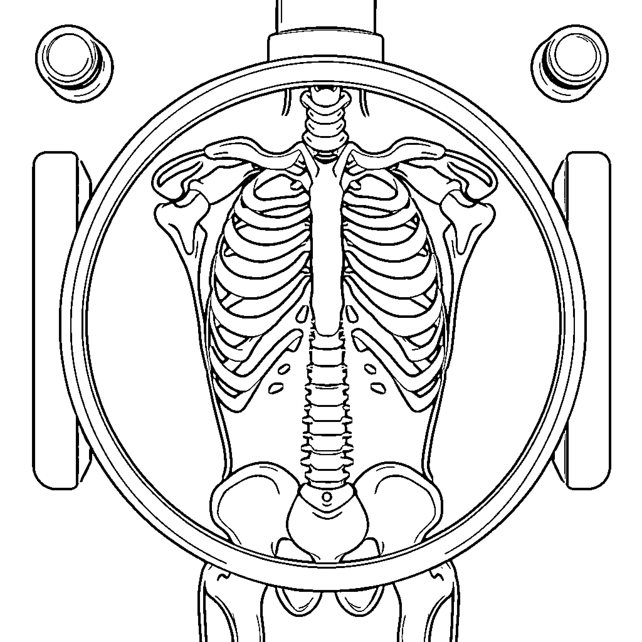 Xray of human thoracic cavity and skeleton Coloring Page (free black-and-white line drawing printable PDF for all, from beginners to advanced learners, including children, teens, adults, and seniors)
