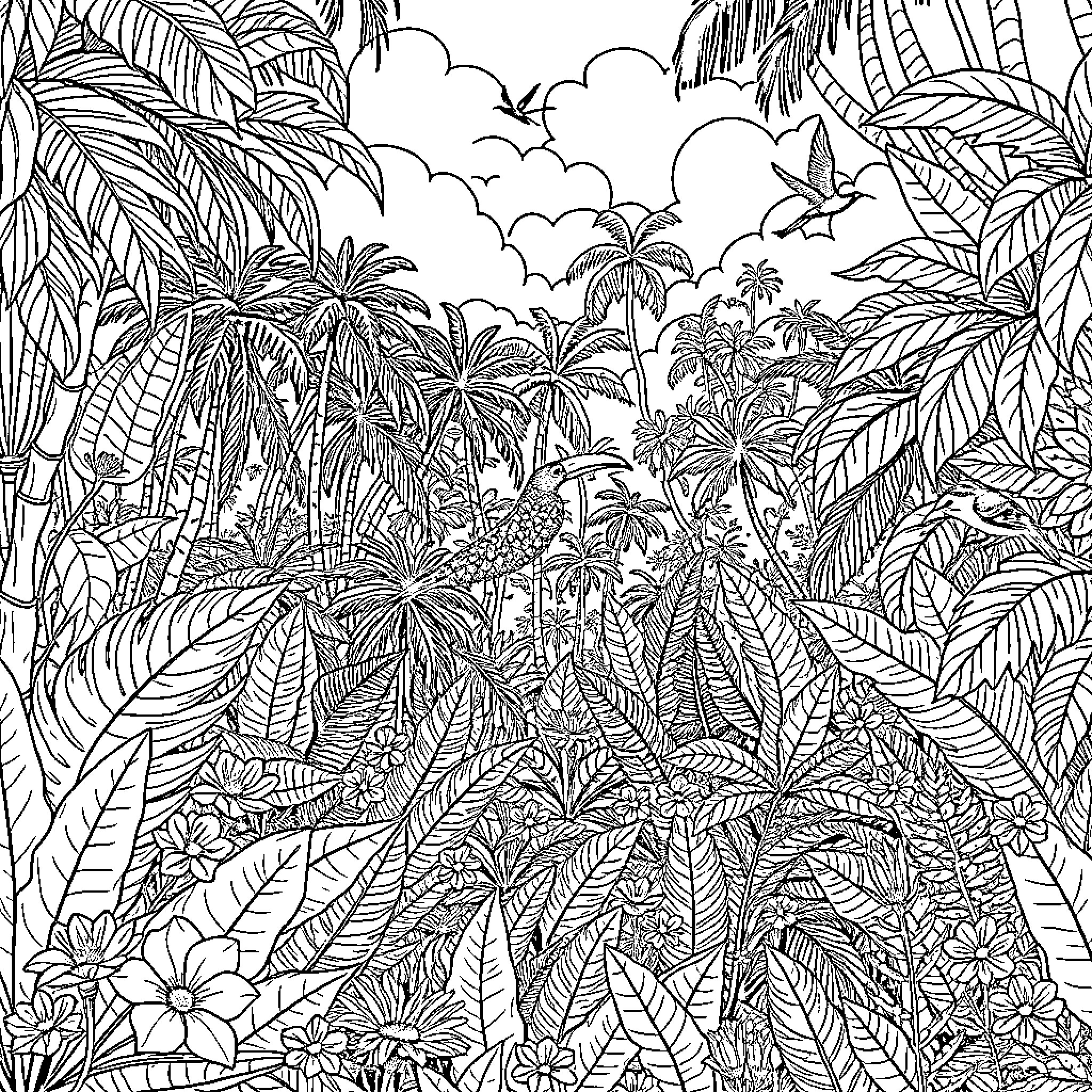 Rainforest landscape with lush vegetation and wildlife Coloring Page (free black-and-white line drawing printable PDF for all, from beginners to advanced learners, including children, teens, adults, and seniors)