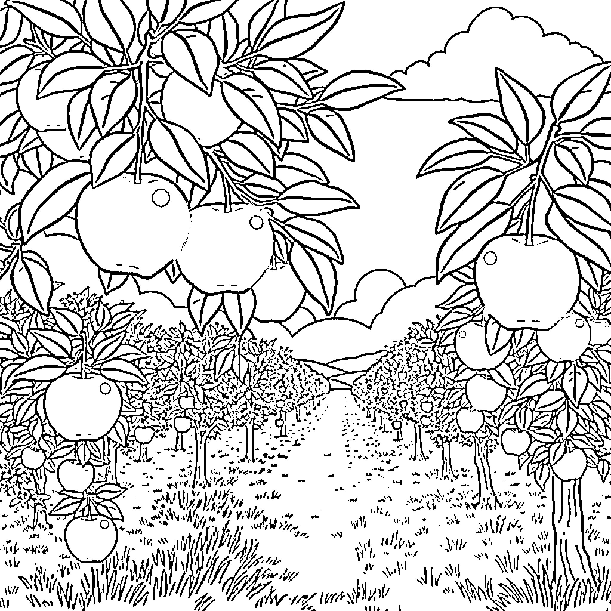 Apple Orchard Landscape with Fruit Trees Coloring Page (free black-and-white line drawing printable PDF for all, from beginners to advanced learners, including children, teens, adults, and seniors)