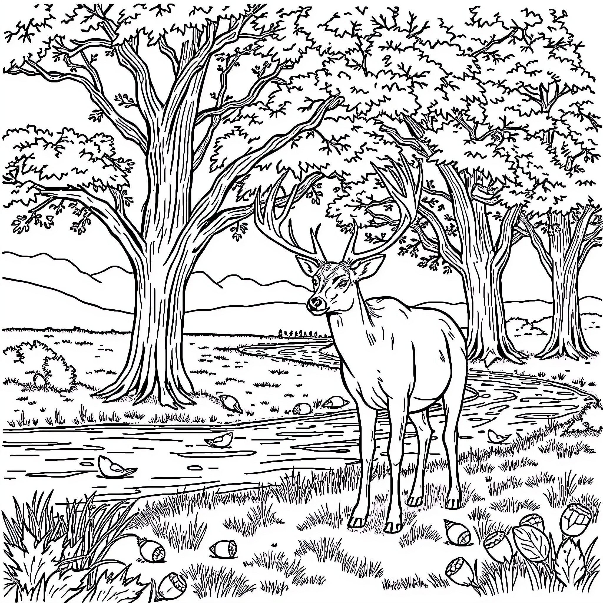Deer standing majestically in a serene forest Coloring Page (free black-and-white line drawing printable PDF for all, from beginners to advanced learners, including children, teens, adults, and seniors)