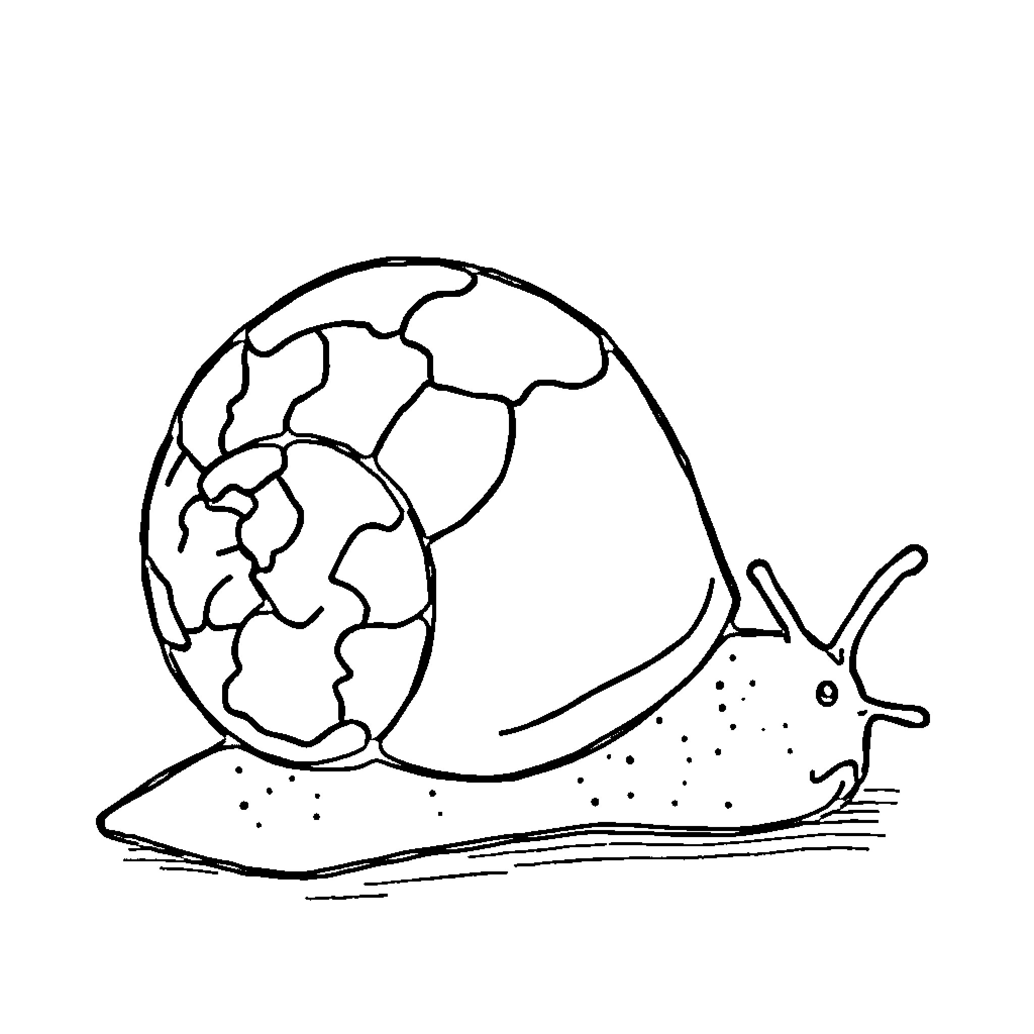 Snail carrying the Earth on its back Coloring Page (free black-and-white line drawing printable PDF for all, from beginners to advanced learners, including children, teens, adults, and seniors)