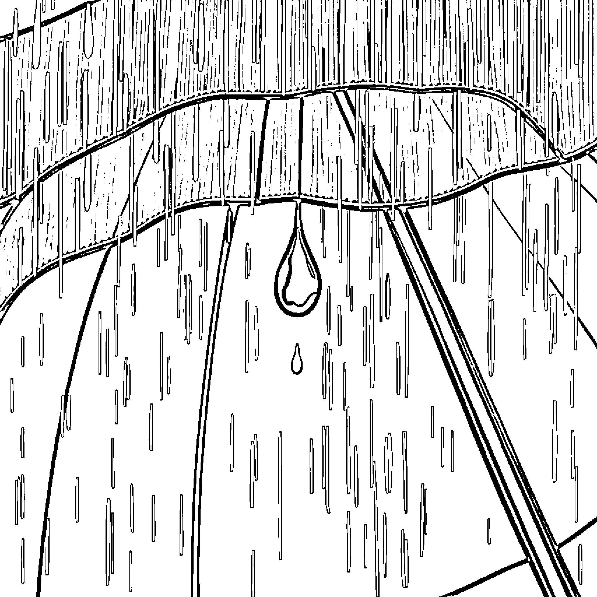 Rain falling on an open umbrella Coloring Page (free black-and-white line drawing printable PDF for all, from beginners to advanced learners, including children, teens, adults, and seniors)