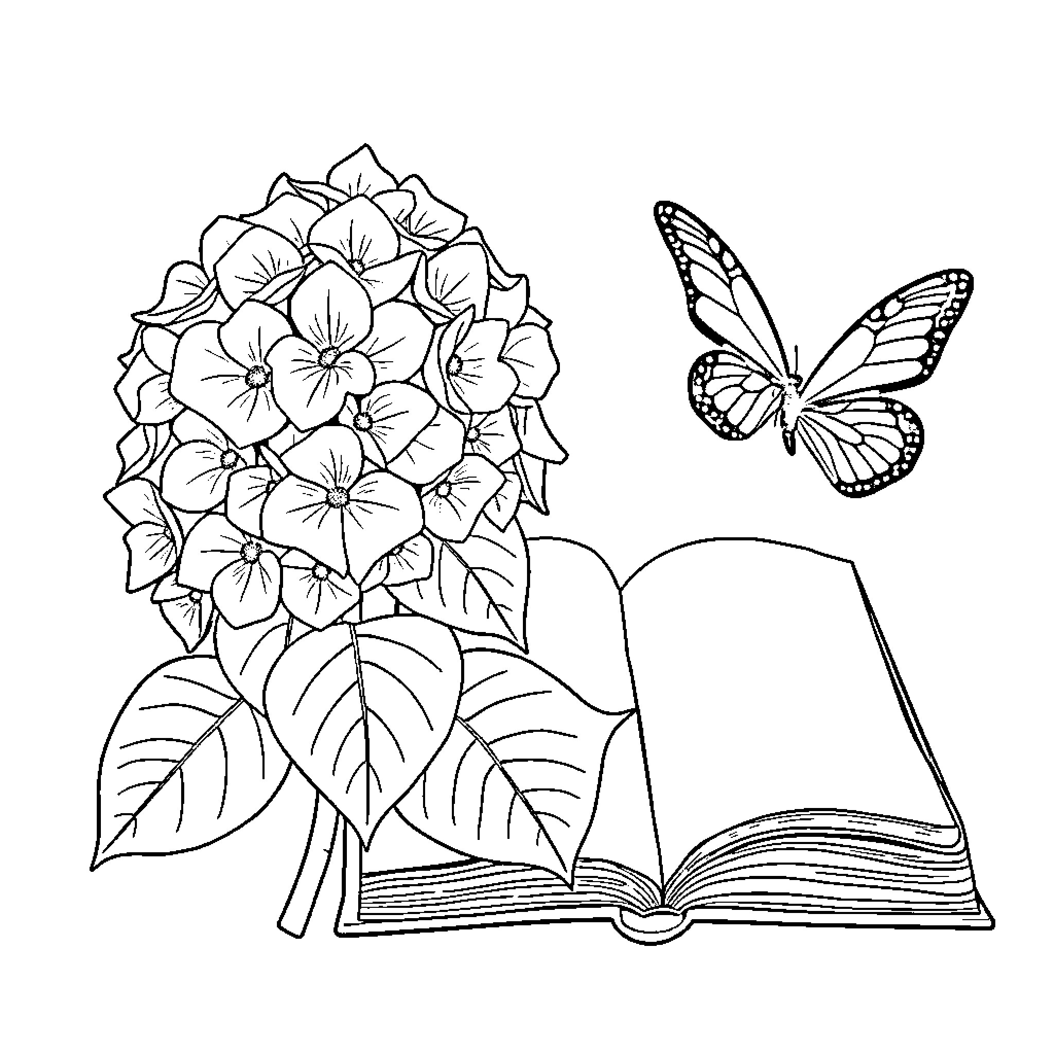 Hydrangea flowers blooming next to an open book with a butterfly Coloring Page (free black-and-white line drawing printable PDF for all, from beginners to advanced learners, including children, teens, adults, and seniors)