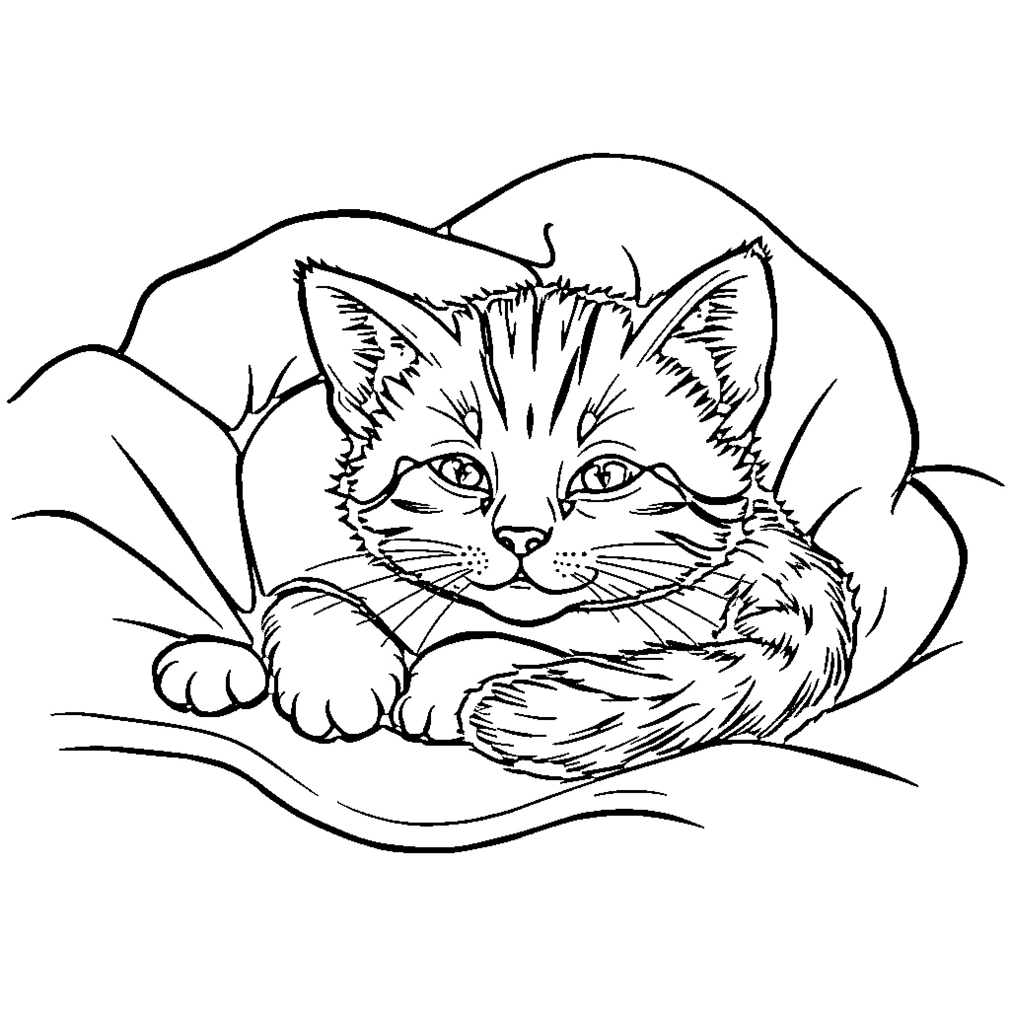 Kitty nestled in the leaves Coloring Page (free black-and-white line drawing printable PDF for all, from beginners to advanced learners, including children, teens, adults, and seniors)
