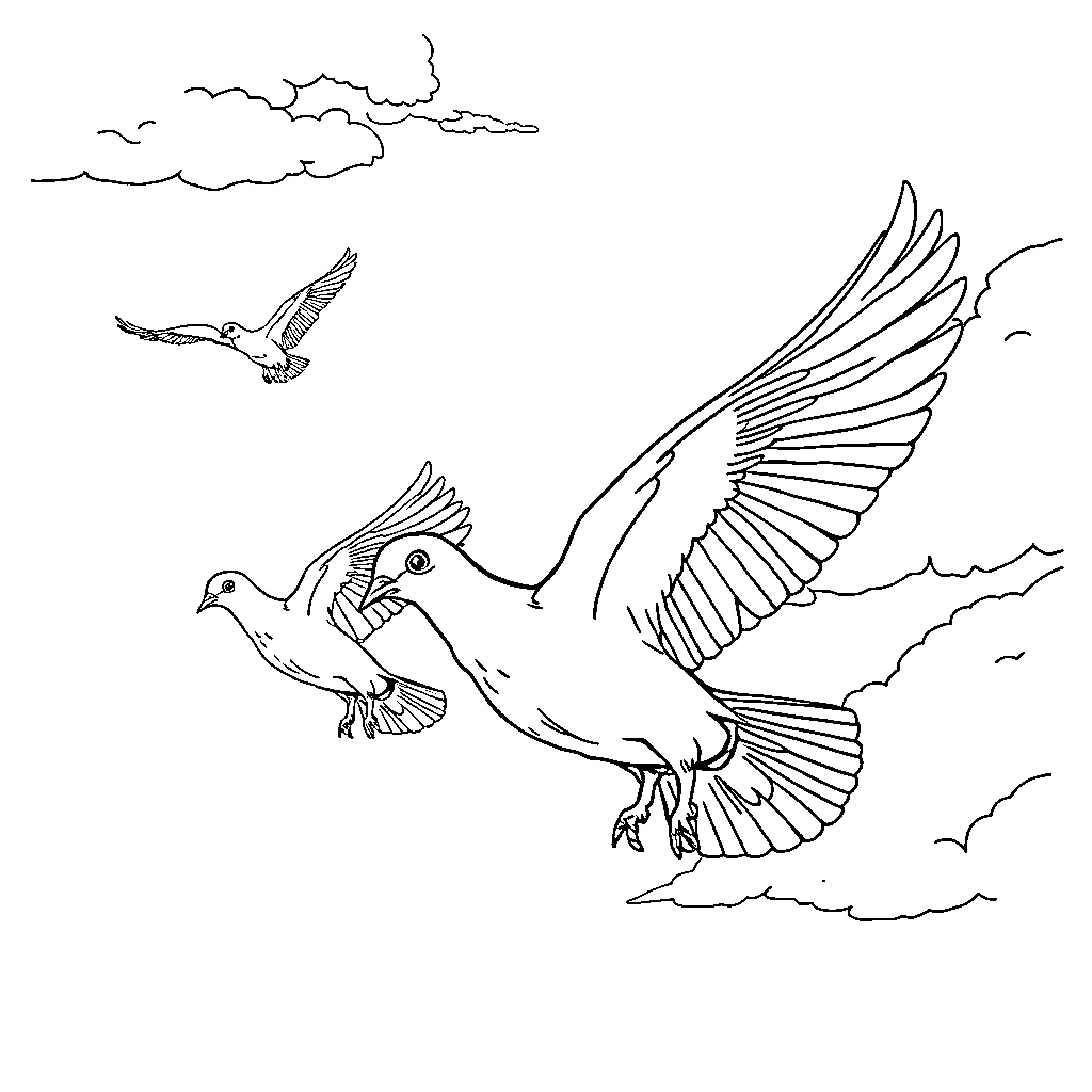 Pigeons soaring gracefully in the sky Coloring Page (free black-and-white line drawing printable PDF for all, from beginners to advanced learners, including children, teens, adults, and seniors)