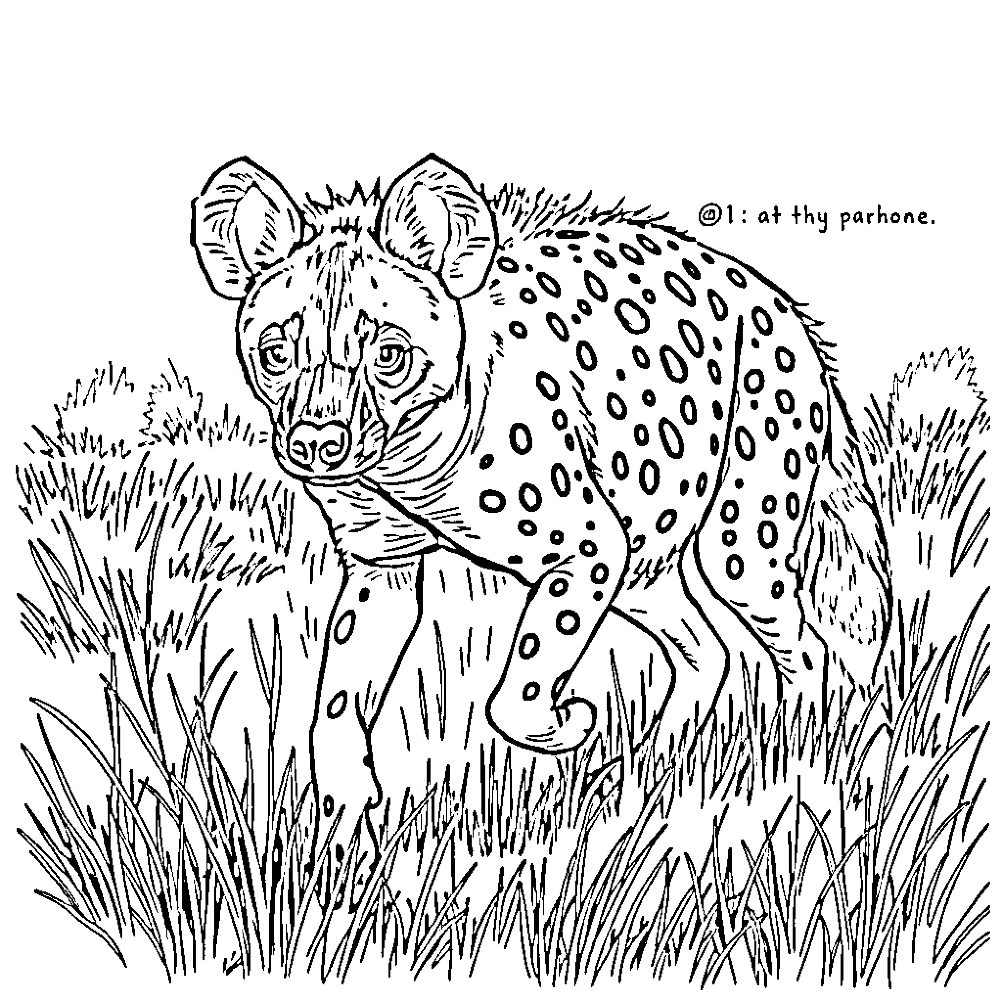 Hyena cautiously gazing in the tall grass Coloring Page (free black-and-white line drawing printable PDF for all, from beginners to advanced learners, including children, teens, adults, and seniors)
